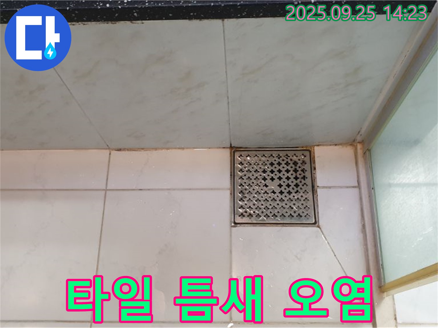 샤워기 수전 주변 타일 틈새 오염 - 곰팡이 확인