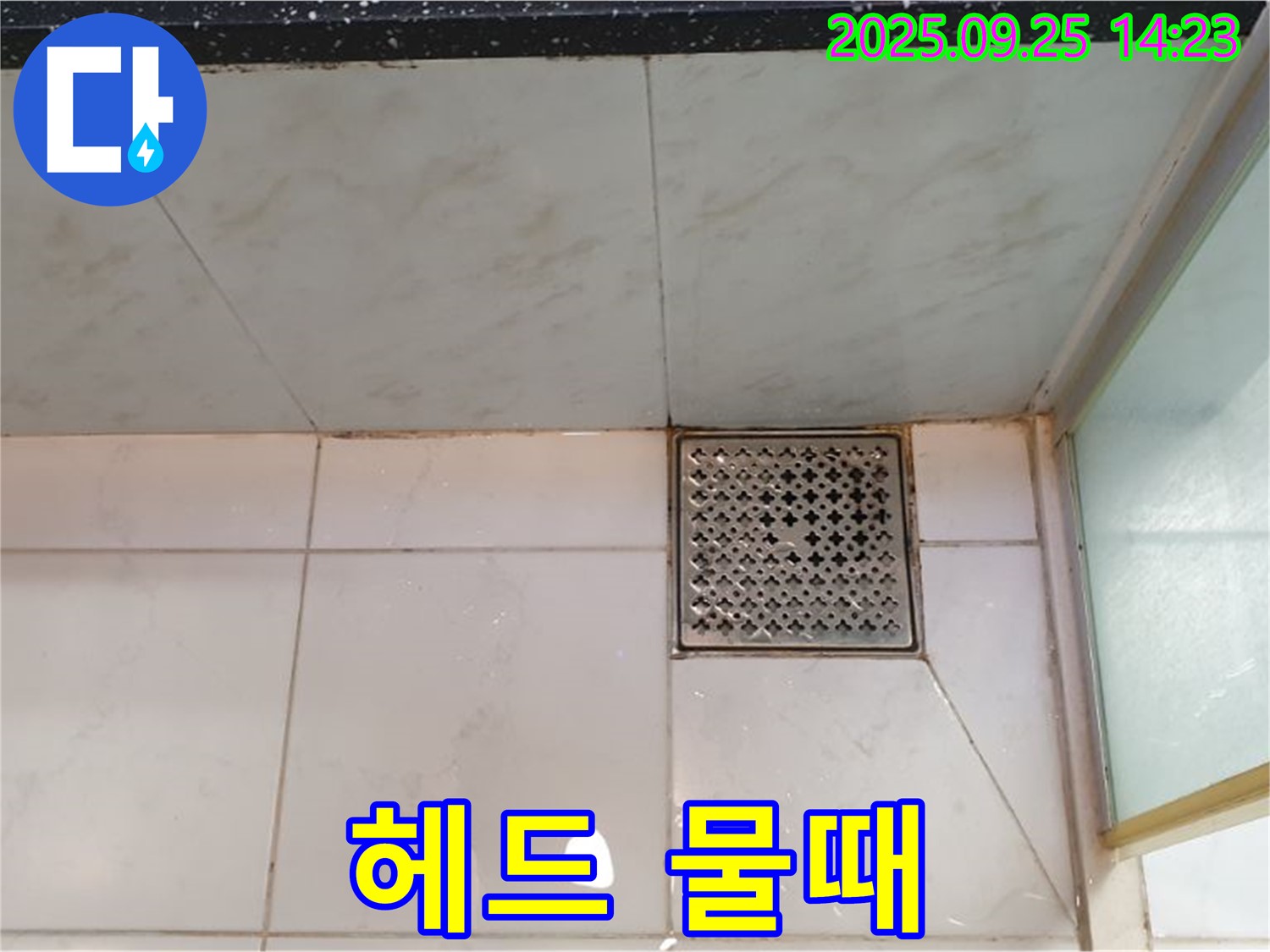 샤워기 헤드 물때 - 세척 작업으로 해결
