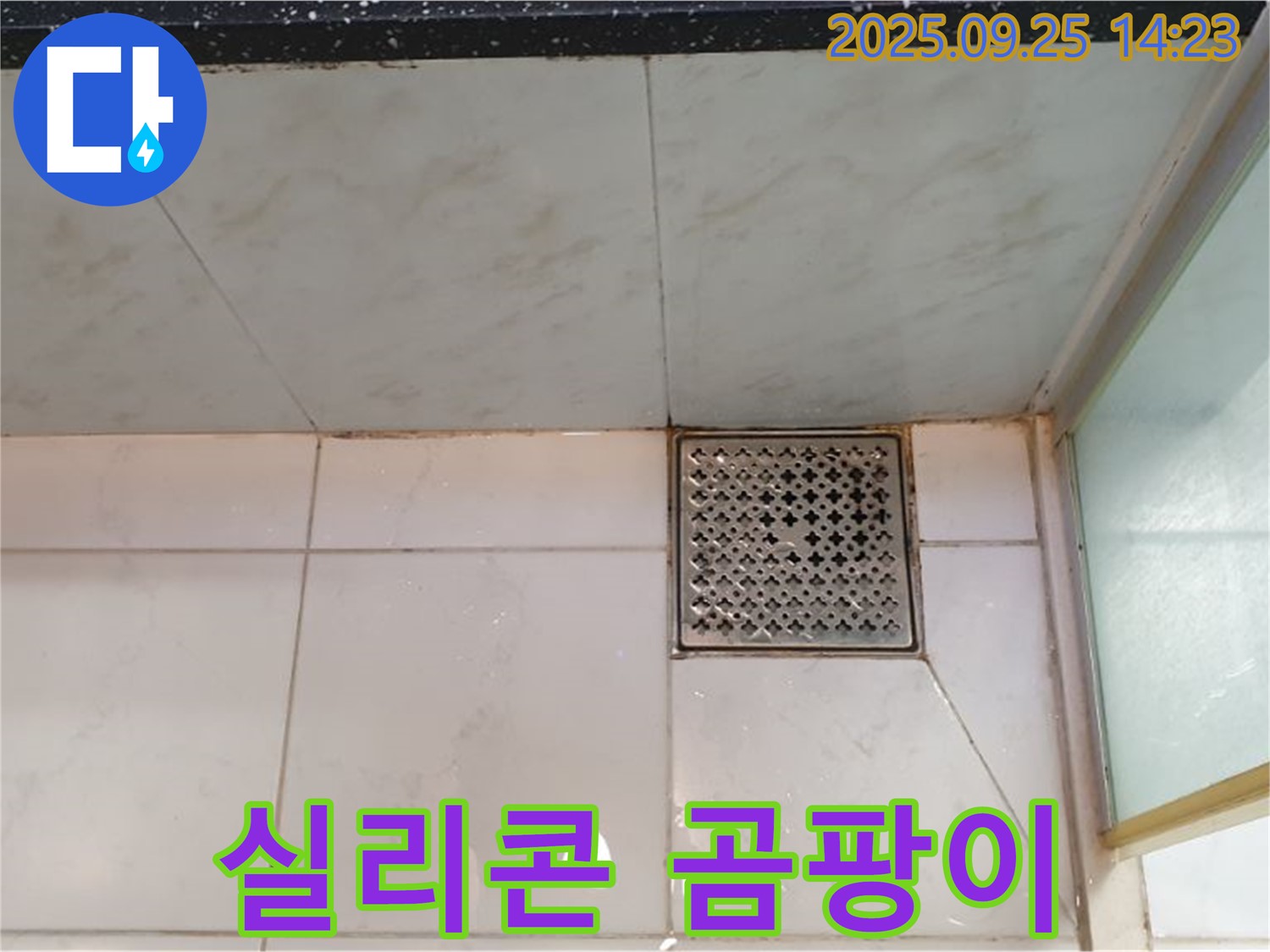 샤워부스 실리콘 오염 - 곰팡이 제거 후 재시공