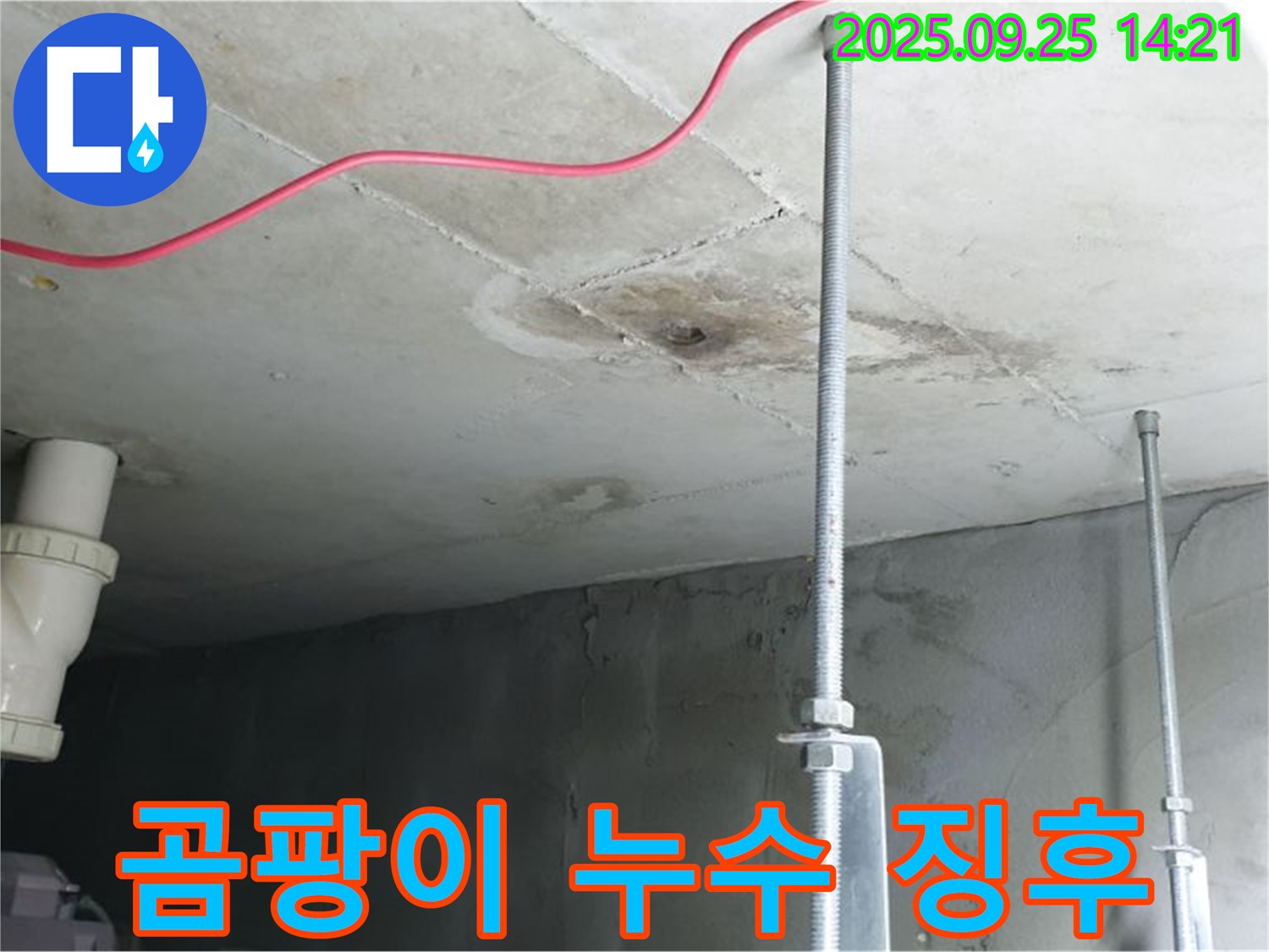의정부 누수 - 배관 주변 곰팡이, 누수 가능성 높음