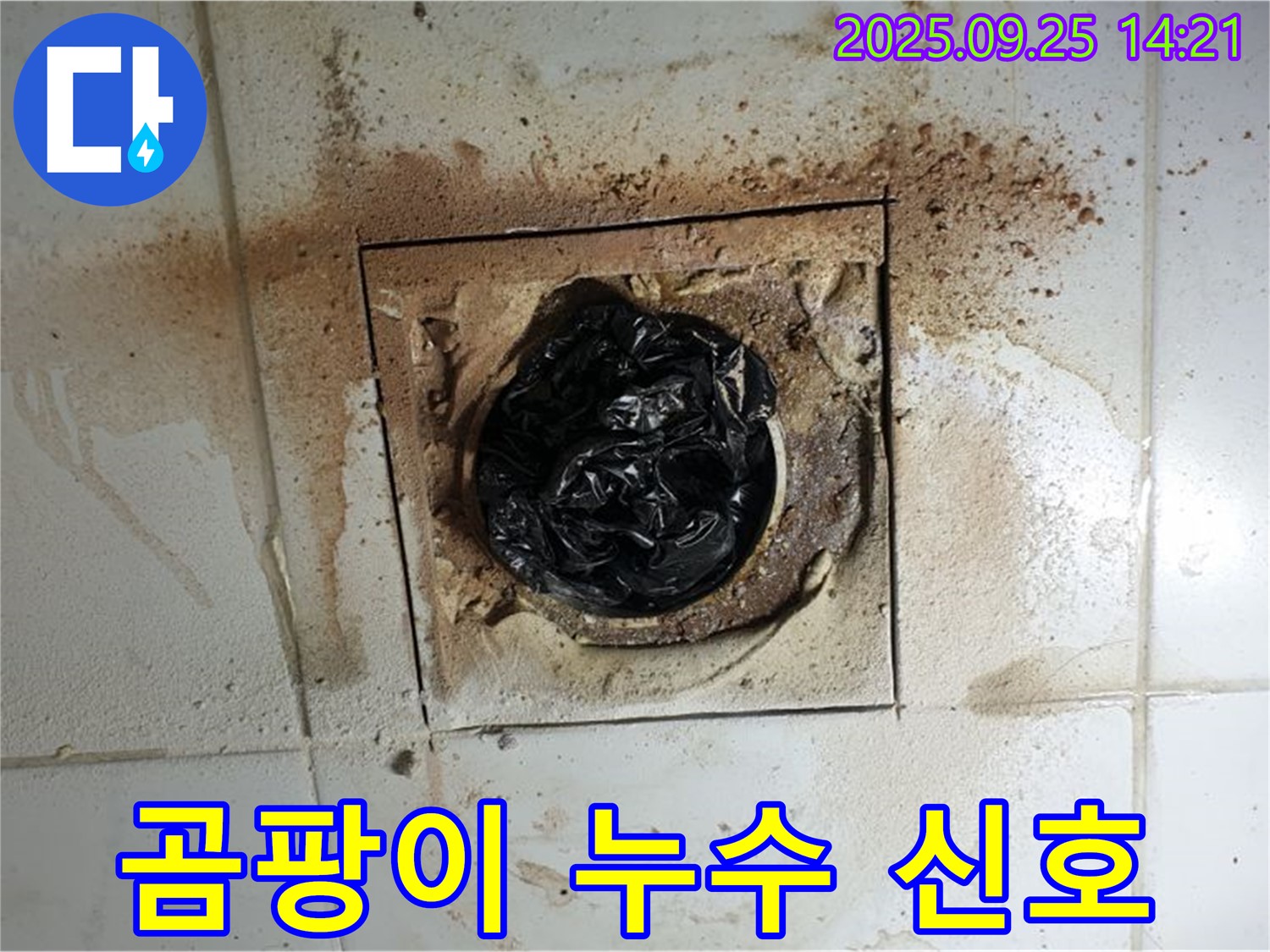 의정부 배수구 곰팡이 - 누수의 위험 신호일 수 있습니다