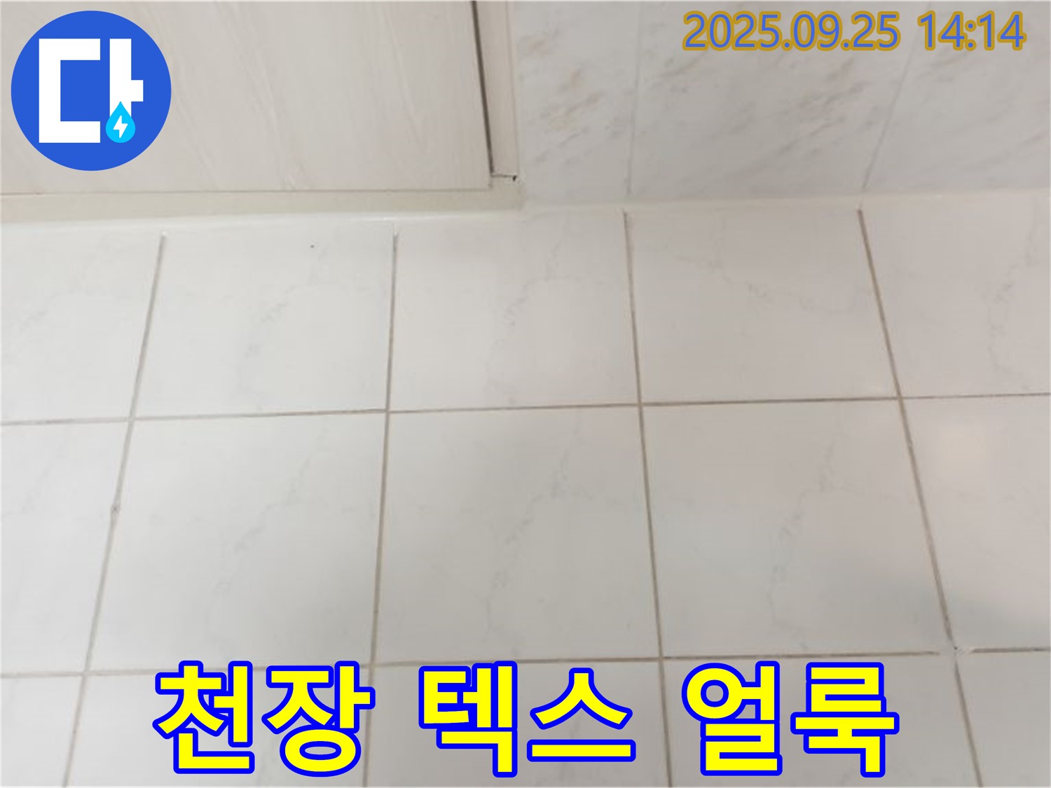 의정부 천장 누수 - 텍스 얼룩, 누수 초기 증상 확인