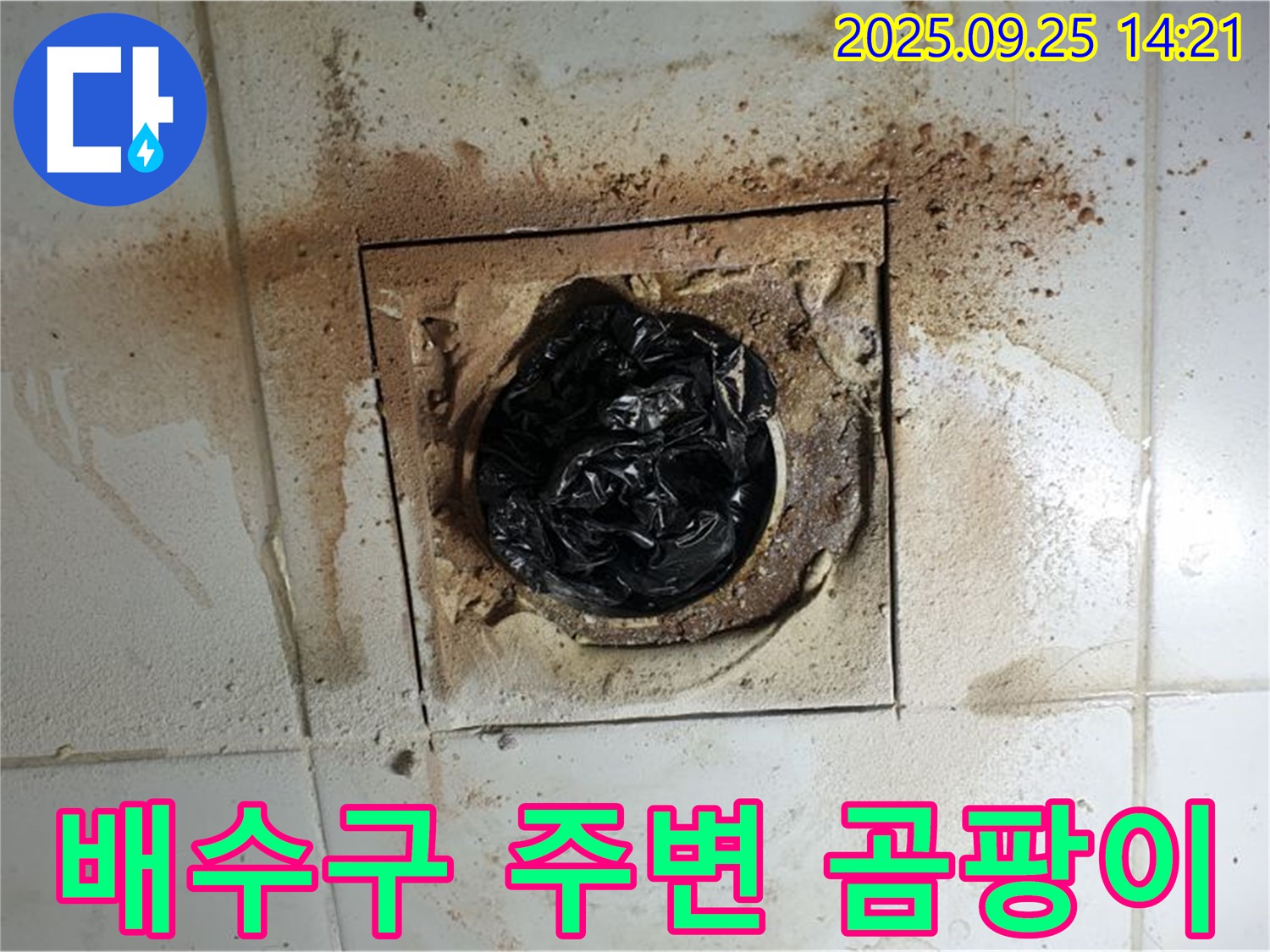 의정부1동 누수 - 배수구 주변 곰팡이, 완벽한 장비로 해결