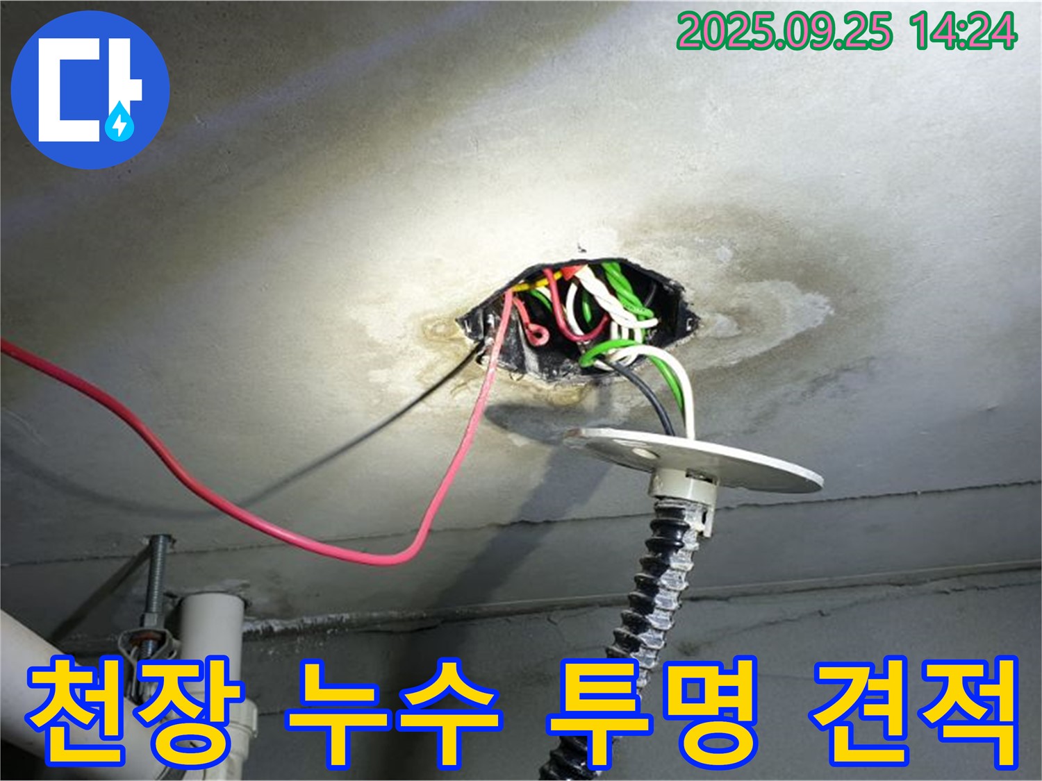 의정부1동 누수 - 콘크리트 천장 누수, 투명한 견적과 누전 위험 상세 설명