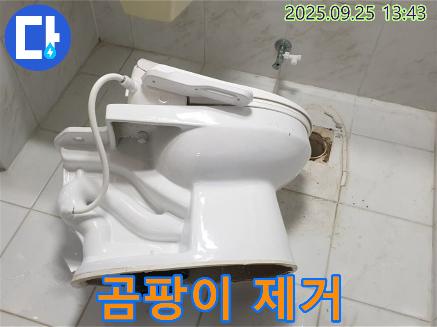 의정부1동 변기 철거 - 곰팡이와의 전쟁!