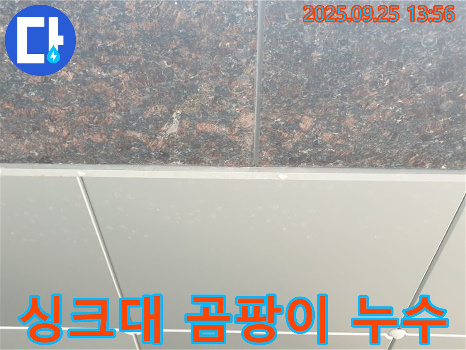 의정부2동 누수 - 싱크대 아래 누수, 곰팡이와 악취 유발