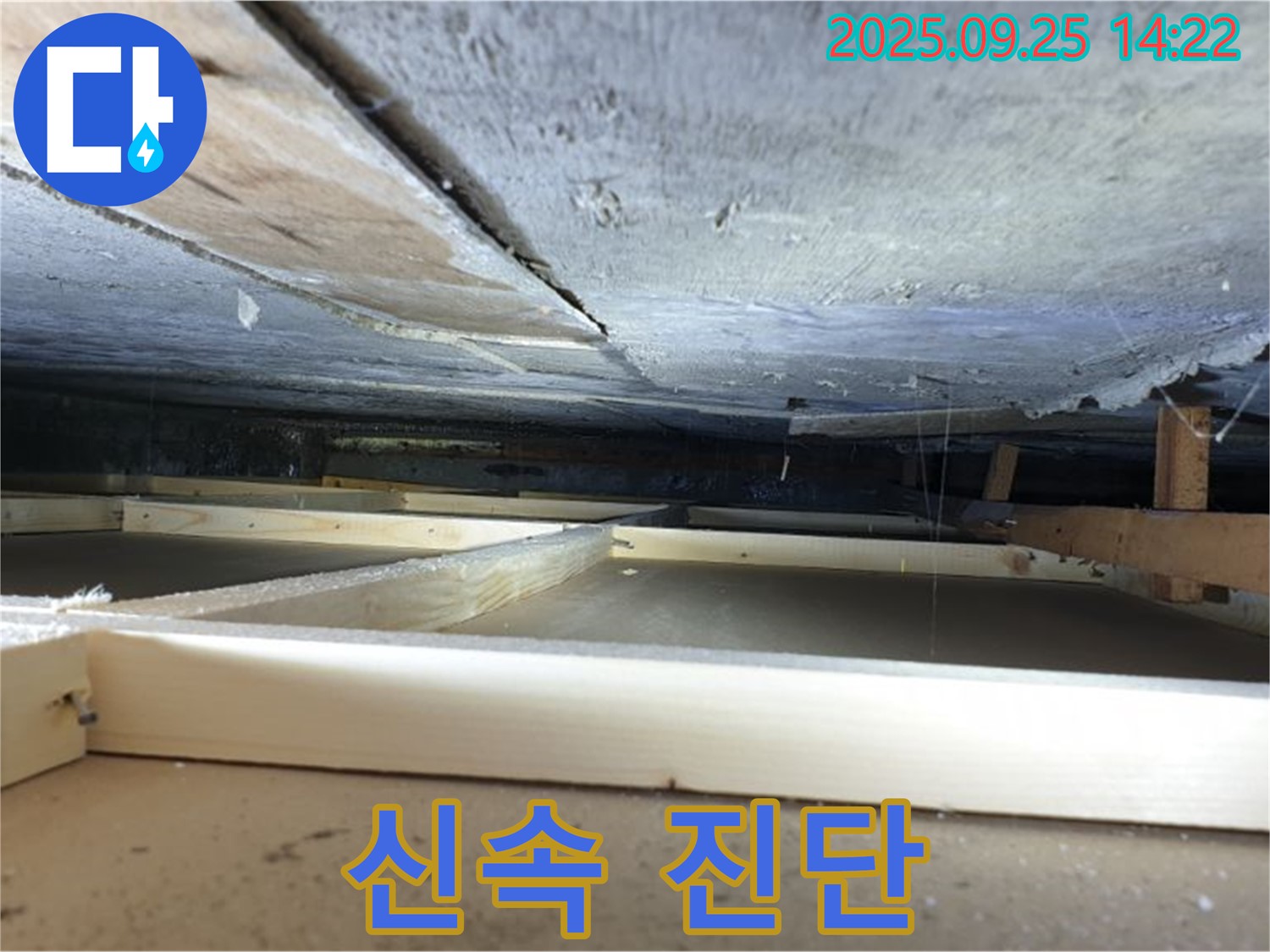 호원1동 천장 누수 - 석고보드 젖기 전, 신속한 누수 진단!