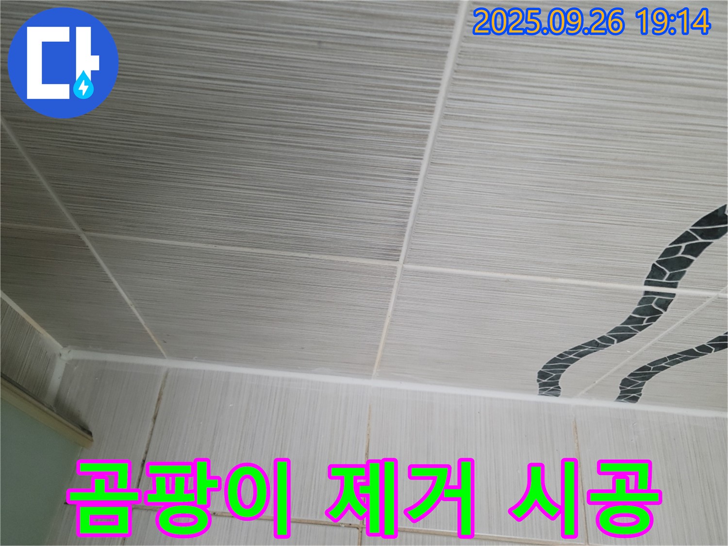 곰팡이 제거 시공 - 확실한 A/S 보장!
