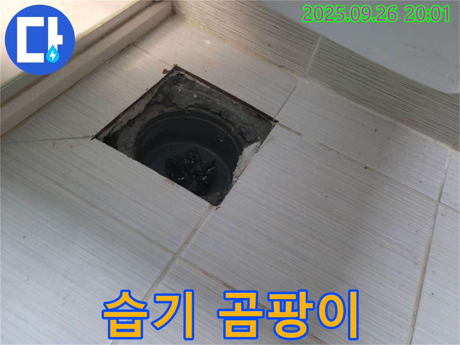 동두천 누수 - 배수구 주변 습기 확인, 곰팡이 발생 우려