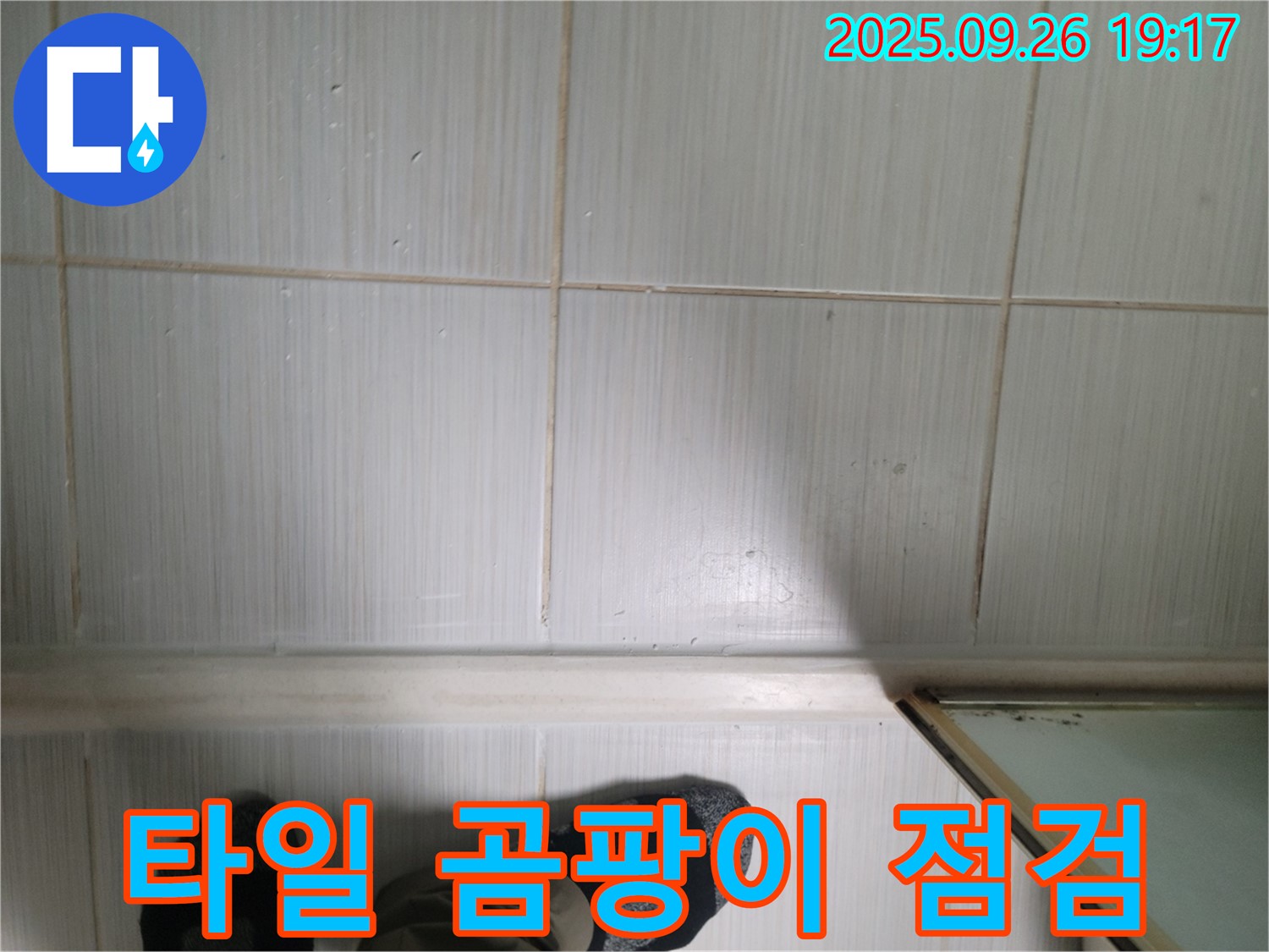 동두천 생연동 누수 - 타일 곰팡이 상태를 자세히 점검하고 있습니다.