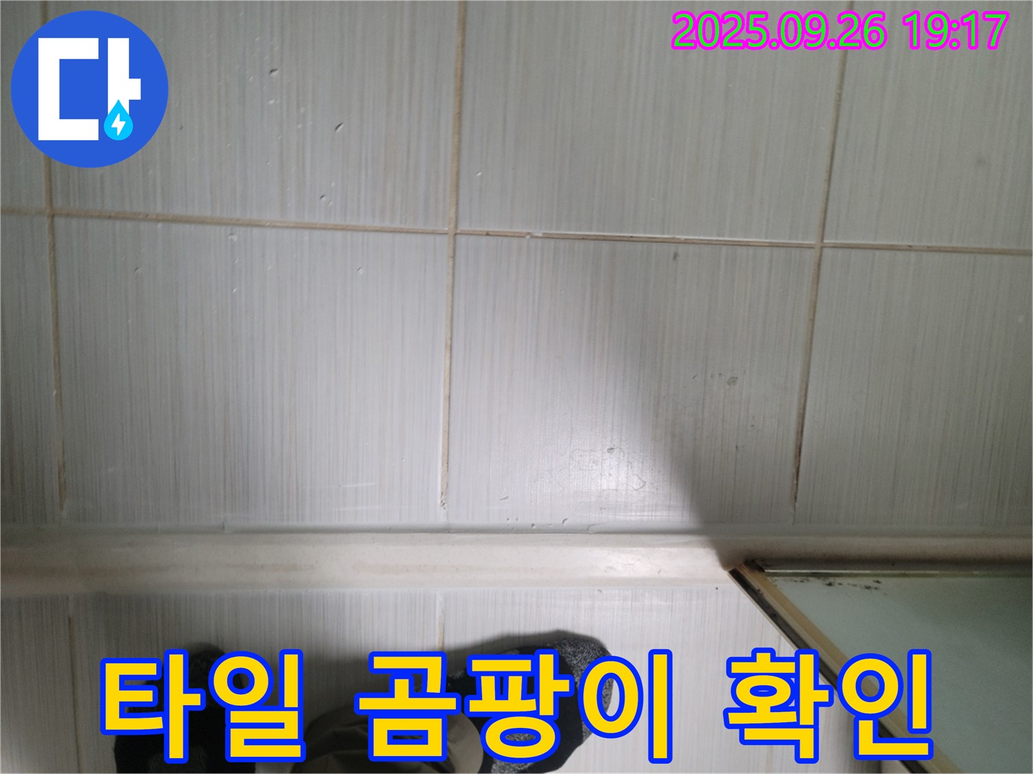 동두천 생연동 누수 - 타일 틈새에 핀 곰팡이를 확인하고 누수탐지부터 완벽 시공까지 책임지겠습니다.