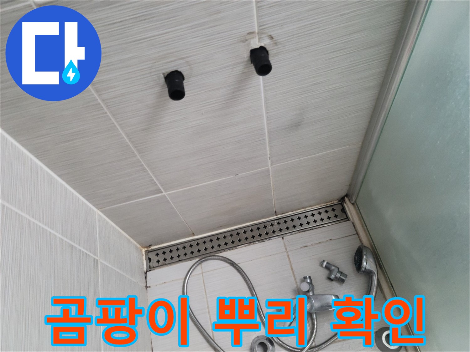 동두천 신창비바 - 샤워기 철거 후 벽면 타일 틈새 곰팡이 뿌리 확인