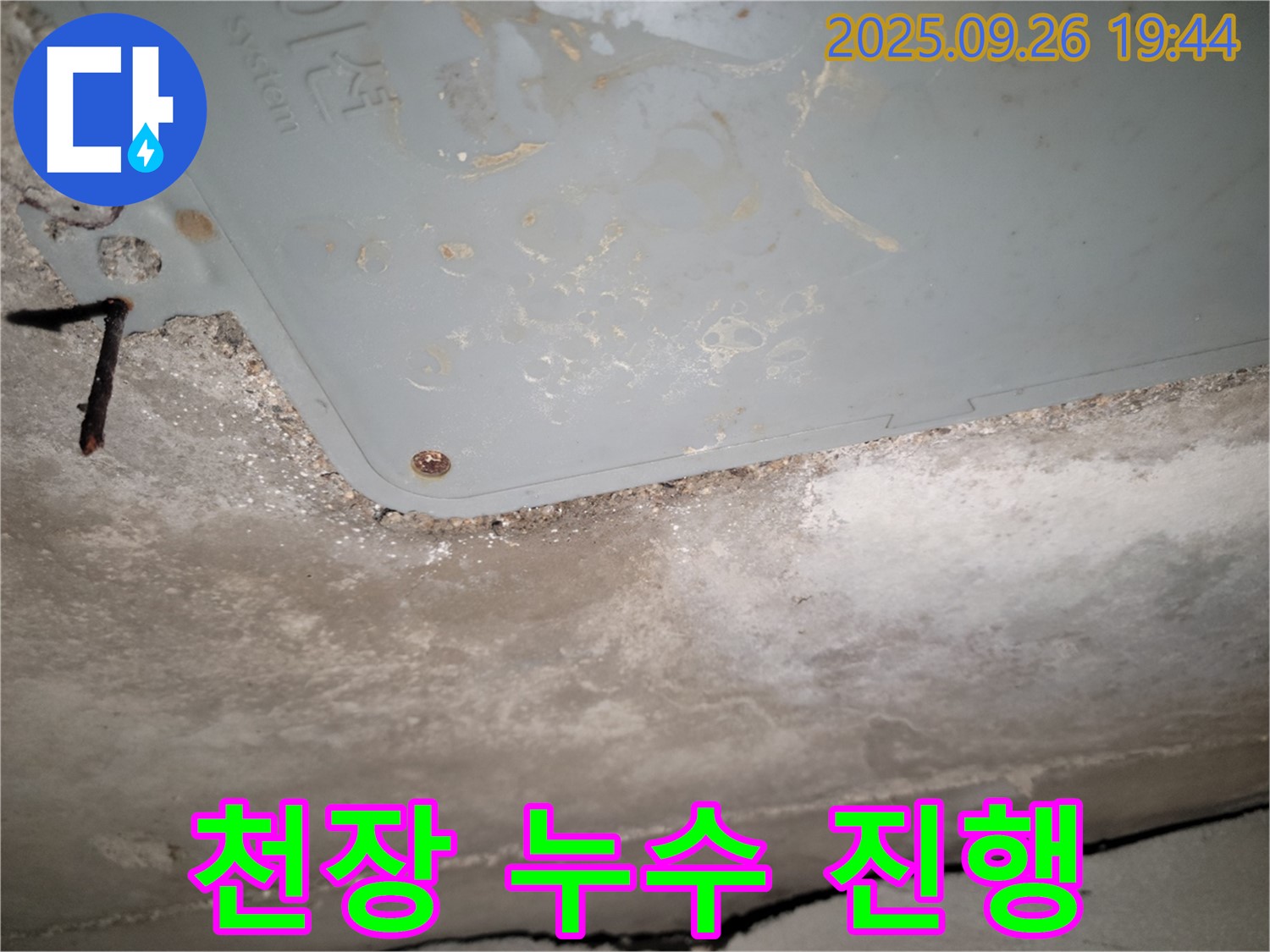 동두천 주택 천장 누수 - 누수 진행 상황을 파악하고 긴급 조치