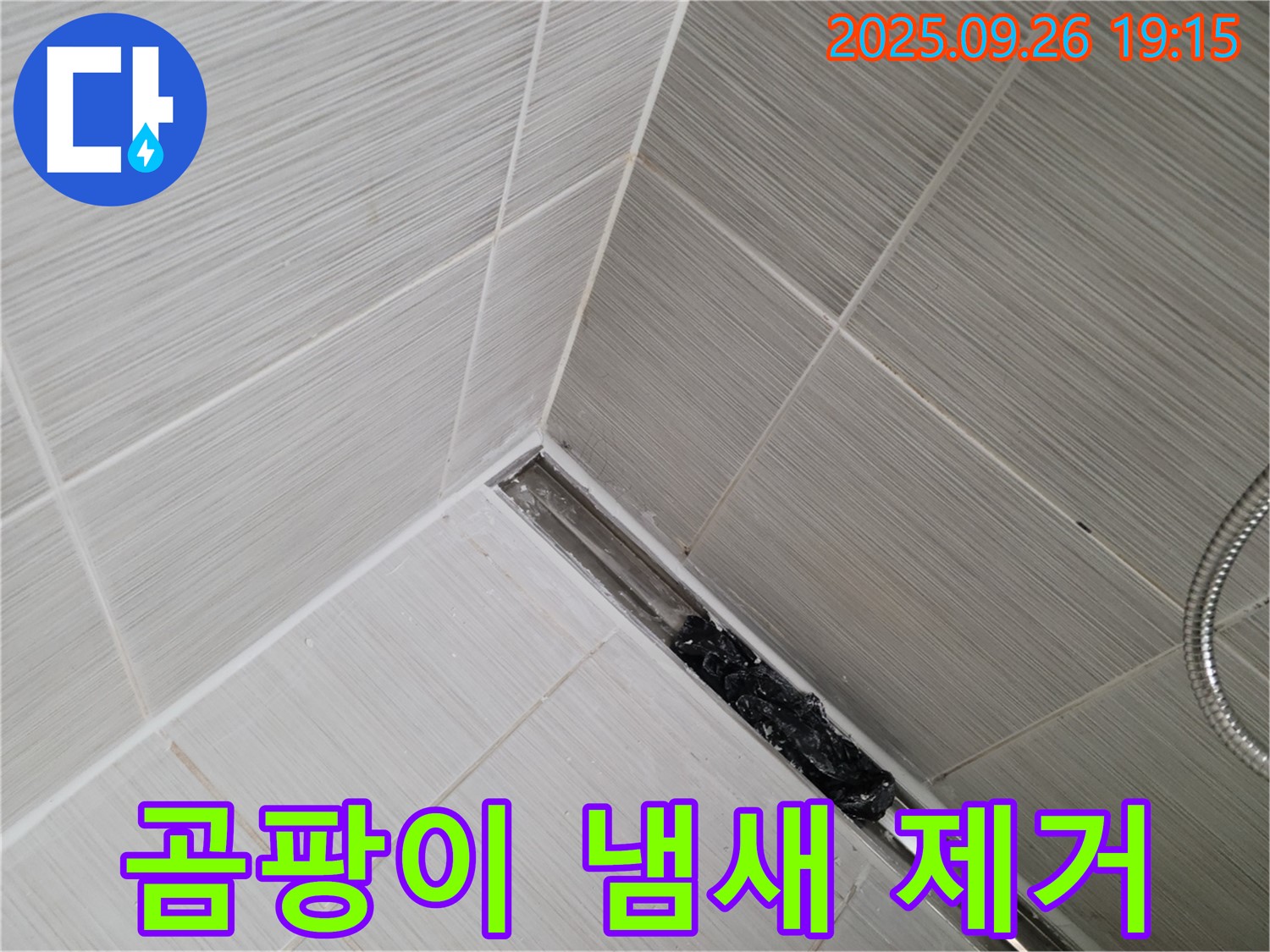 동두천시 생연동 누수 - 샤워 트렌치 막힘, 곰팡이 냄새까지 완벽하게 제거!