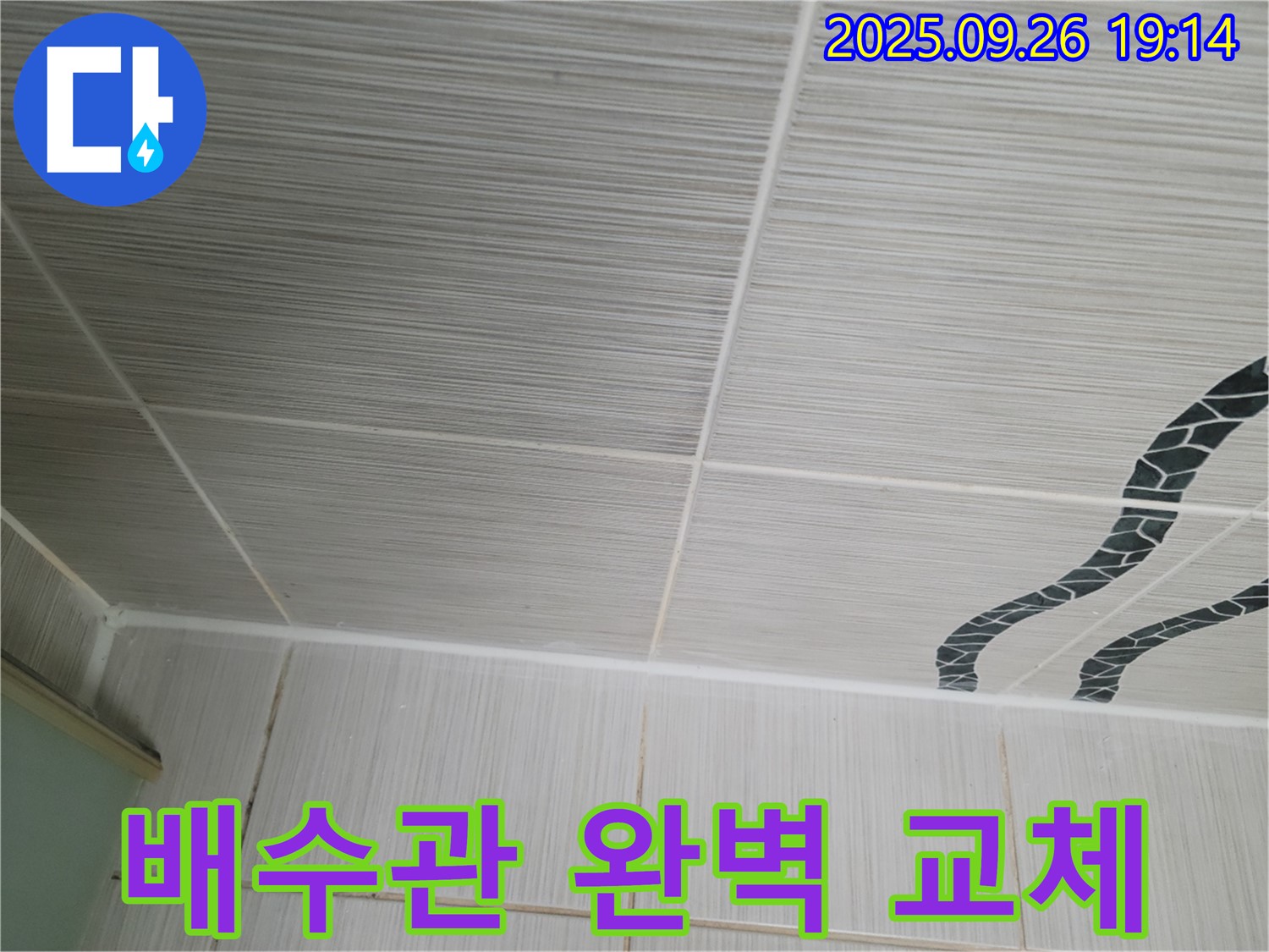 배수관 완벽 교체 - 새 배관으로 완벽하게!