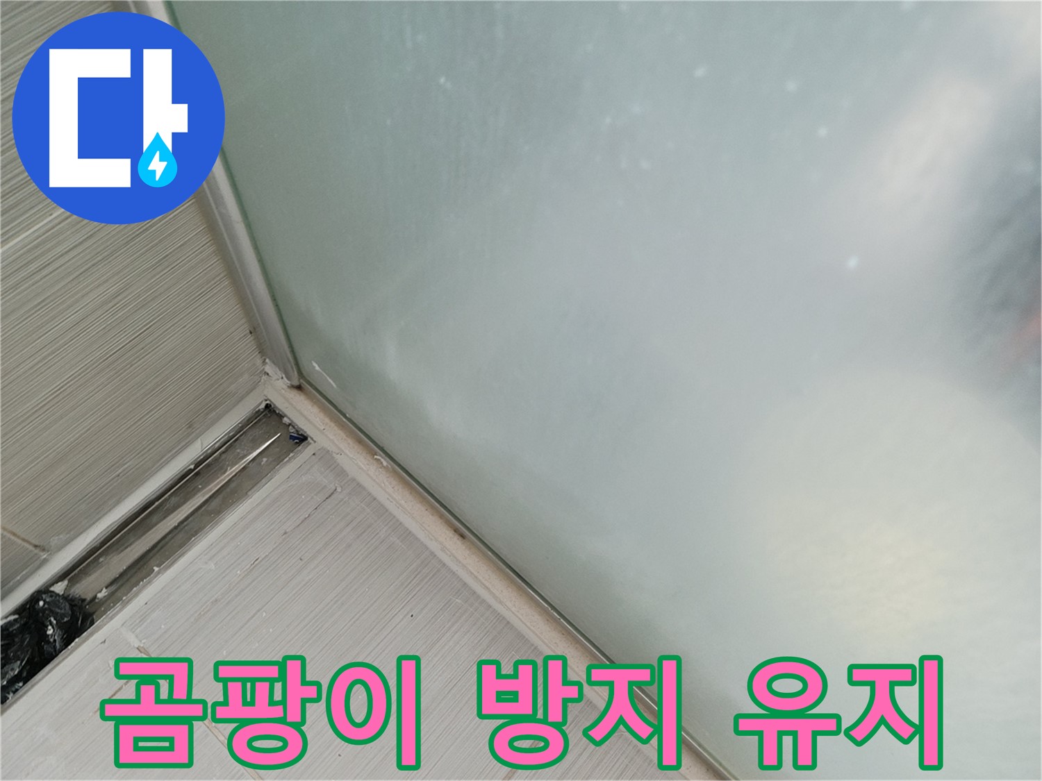 샤워 파티션 누수 - 곰팡이 방지 실리콘 - 깨끗하게 오래 유지