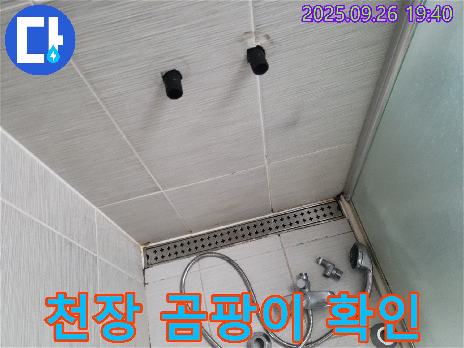 샤워기 누수 - 천장 곰팡이 발생 - 건강에 해로운 곰팡이