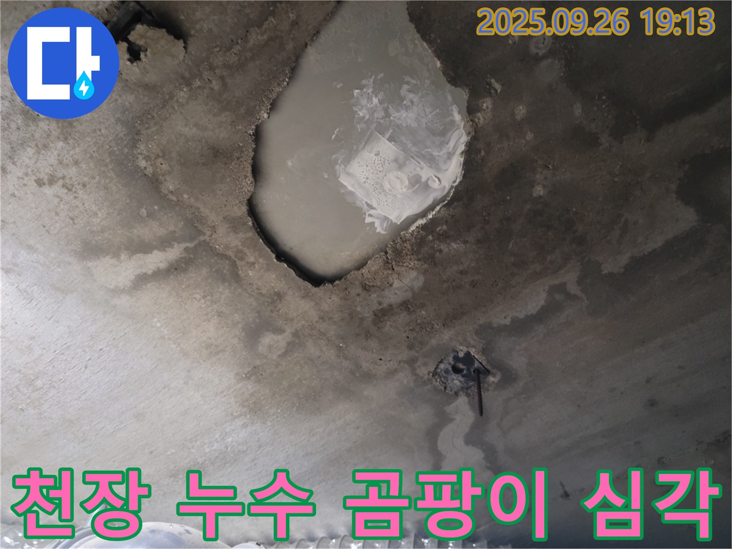 심각한 천장 누수 - 곰팡이 발생 - 장기 누수 흔적