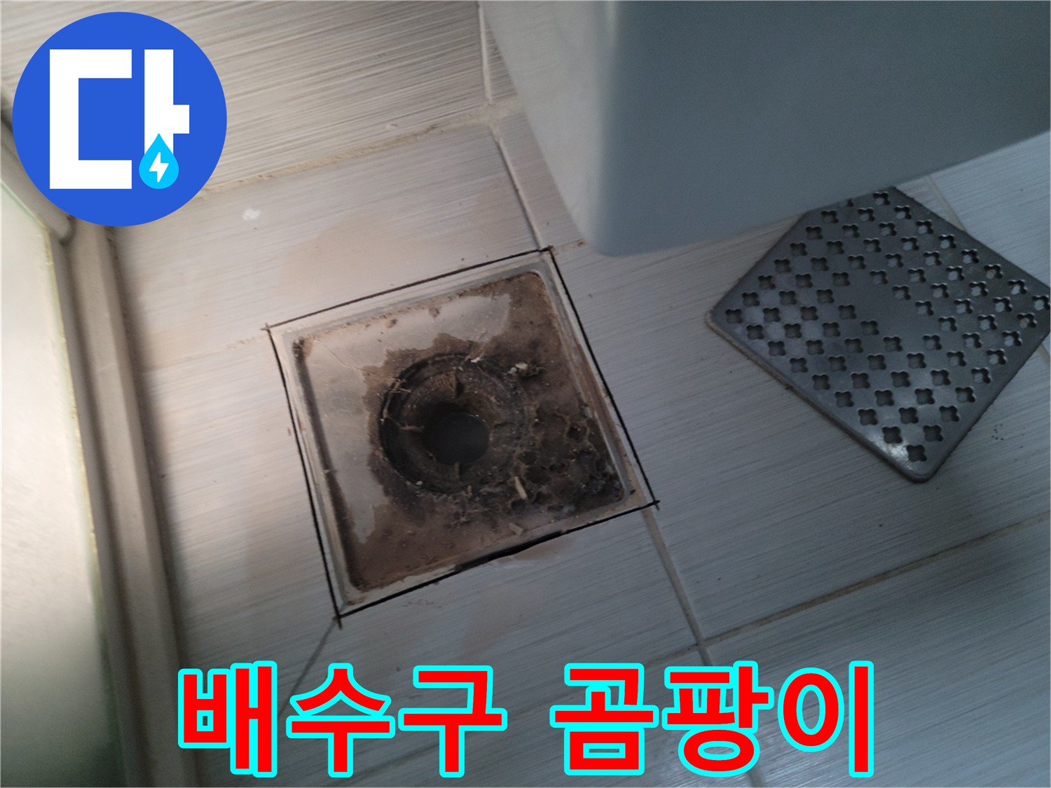 욕실 배수구 주변 - 곰팡이 발생 - 곰팡이 제거 후 항균 코팅으로 재발 방지
