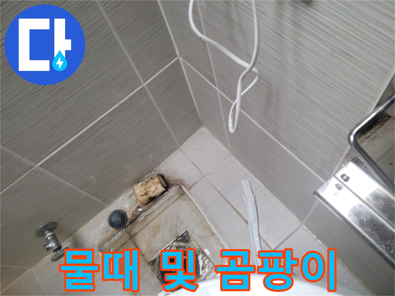 욕실 배수구 주변 - 물때 및 곰팡이