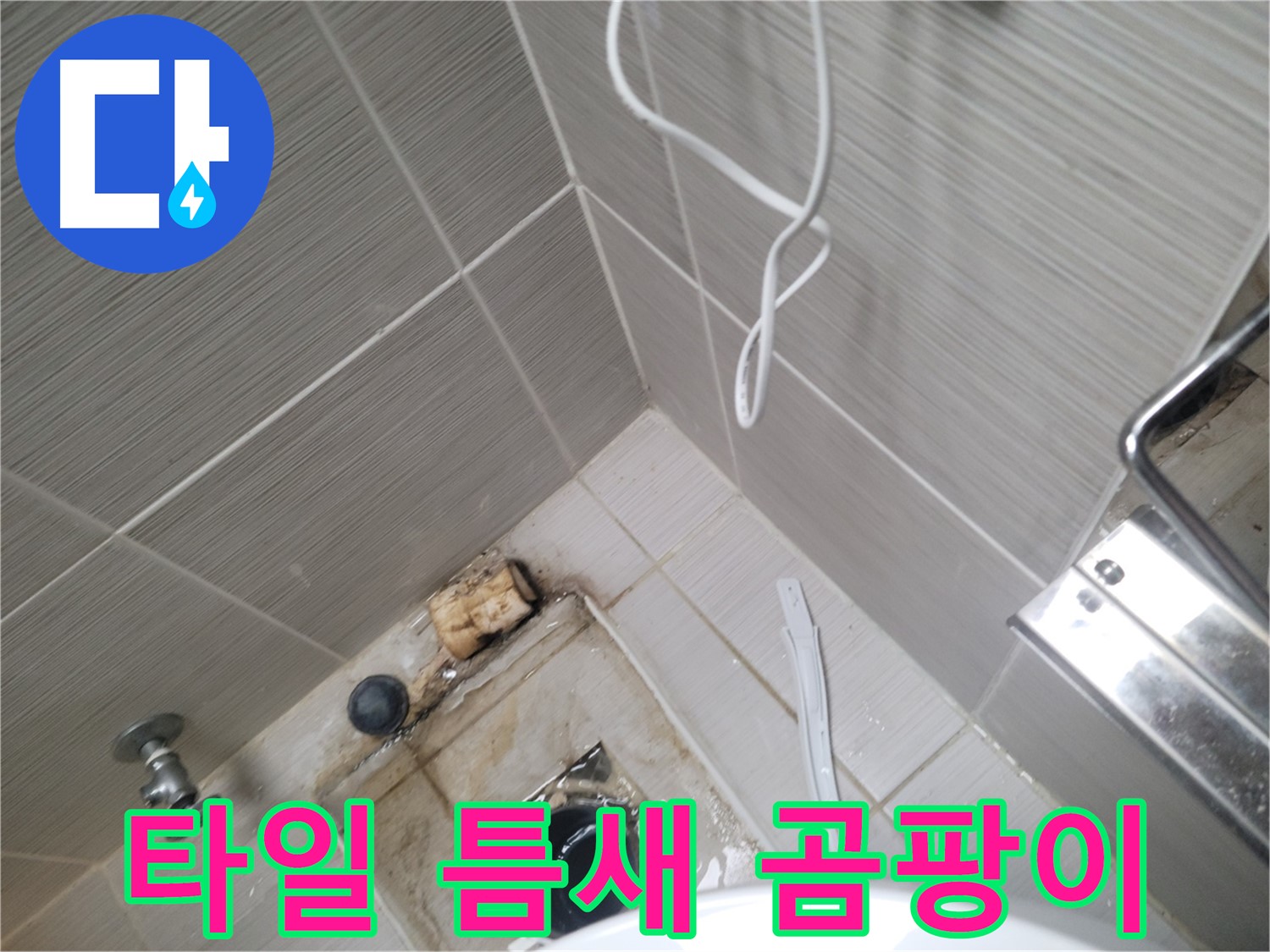 욕실 배수구 주변 - 타일 틈새 곰팡이