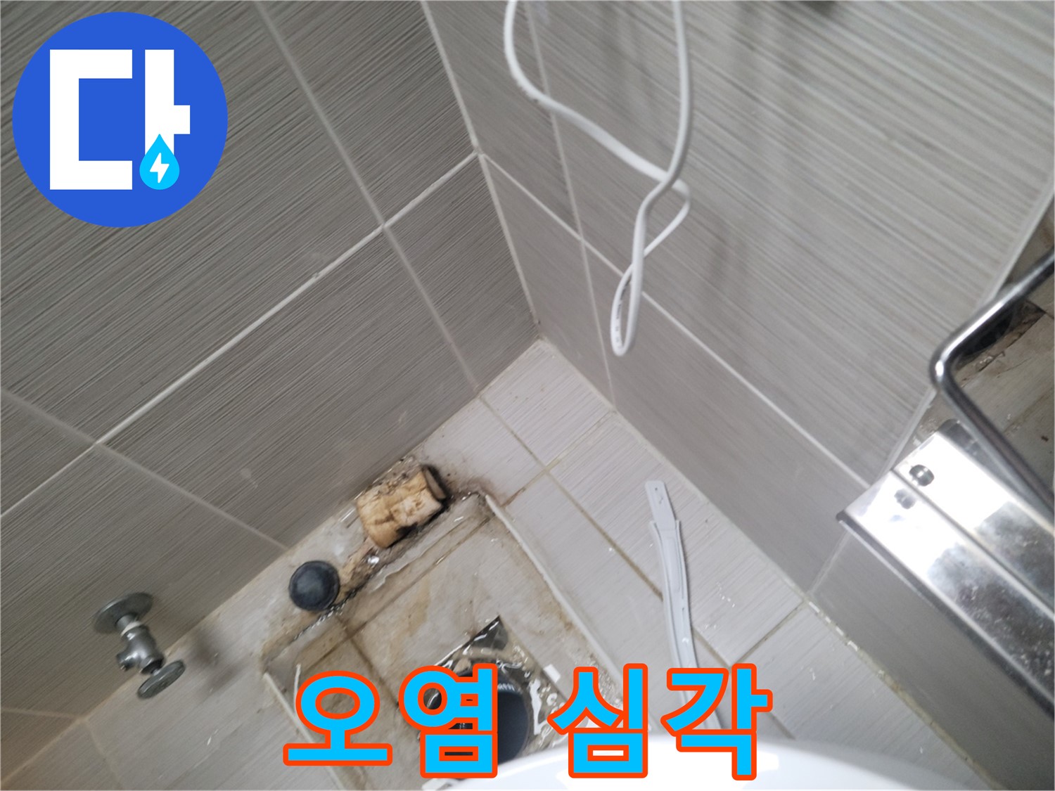 주택 욕실 배수구 주변 - 오염 심각