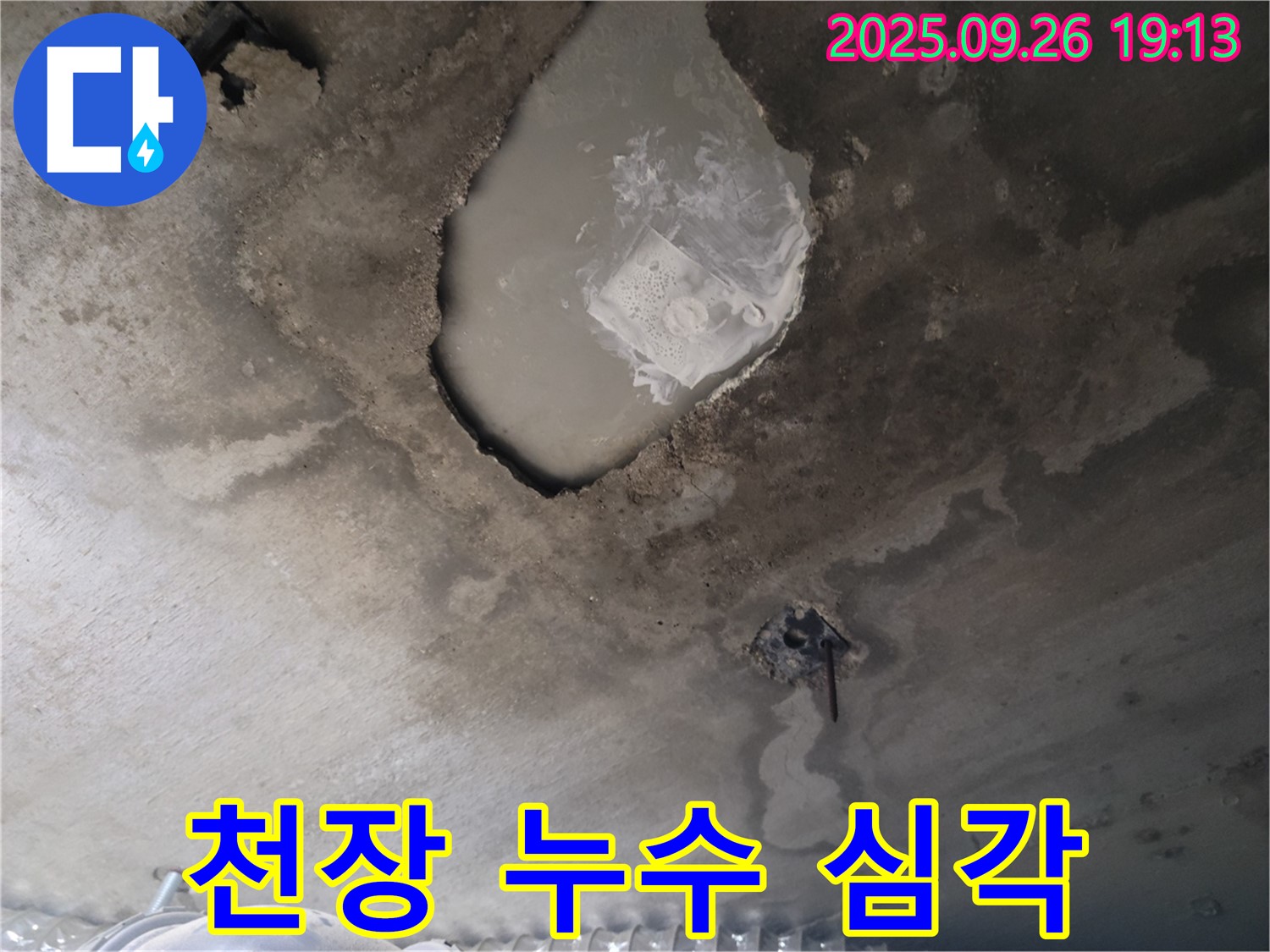 천장 누수 - 석고보드 물 떨어짐 - 긴급 상황