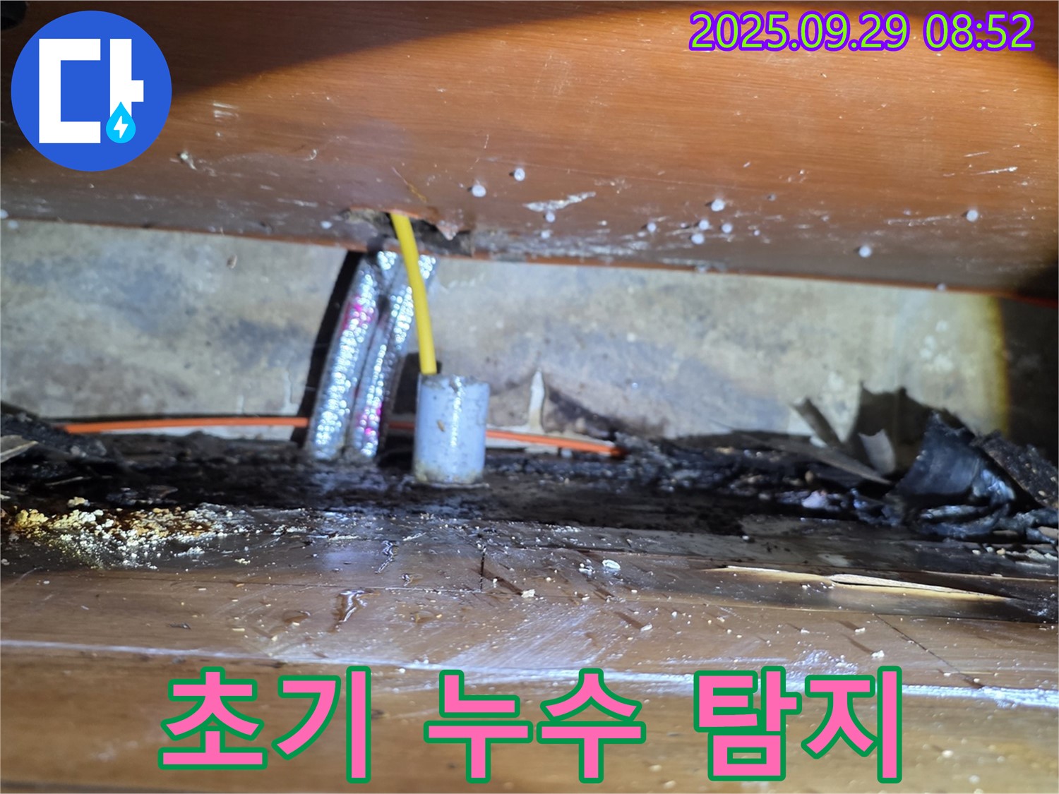 곰팡이 발생 전, 초기 누수 잡기! - 양천구 누수탐지