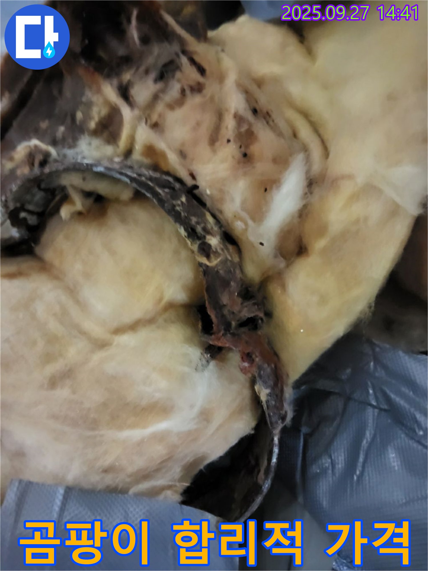 곰팡이 걱정 끝 - 합리적인 가격으로 해결 - 양주 누수
