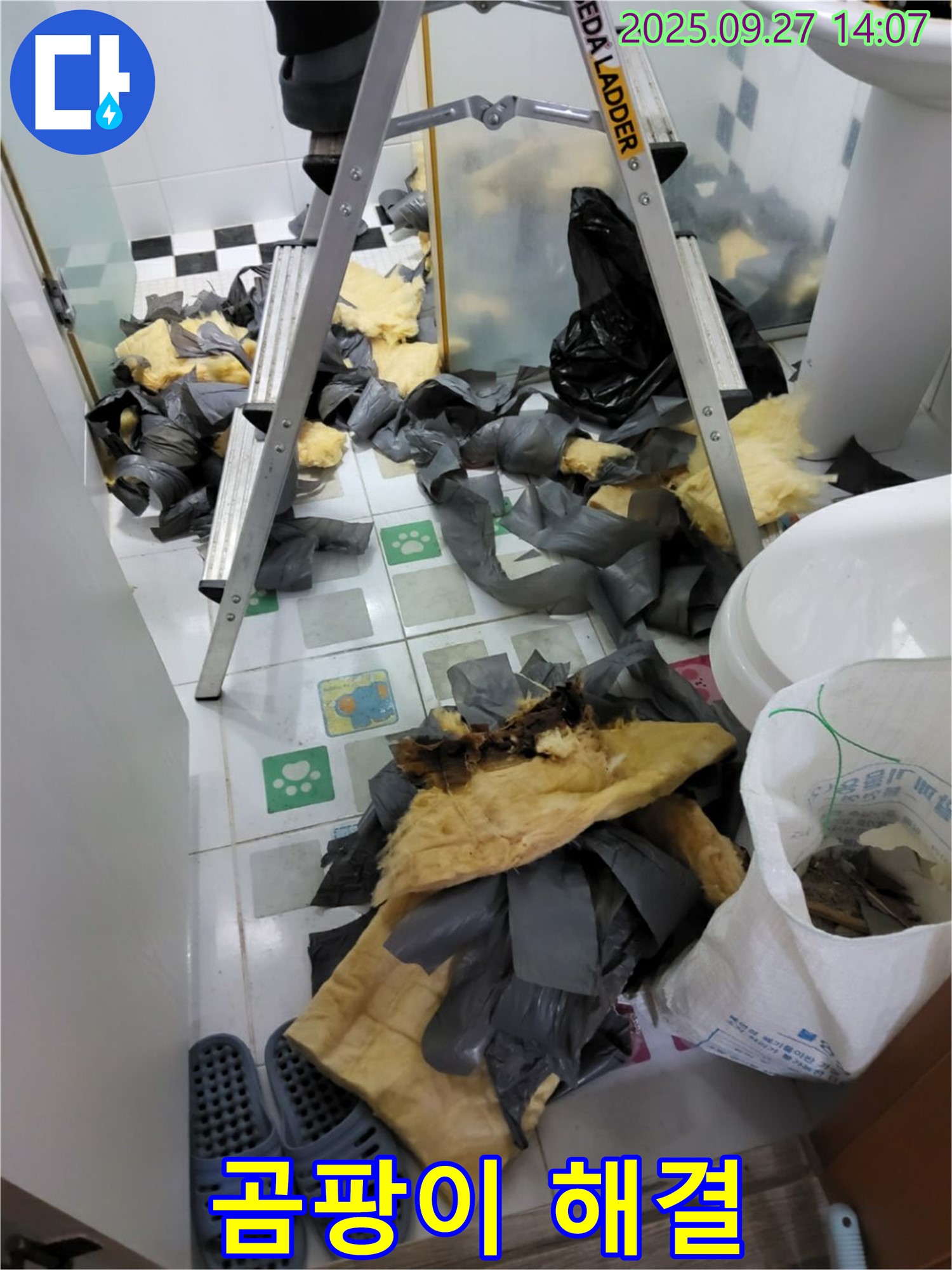 양주 광적면 - 곰팡이 문제 해결은 전문가에게 맡기세요!