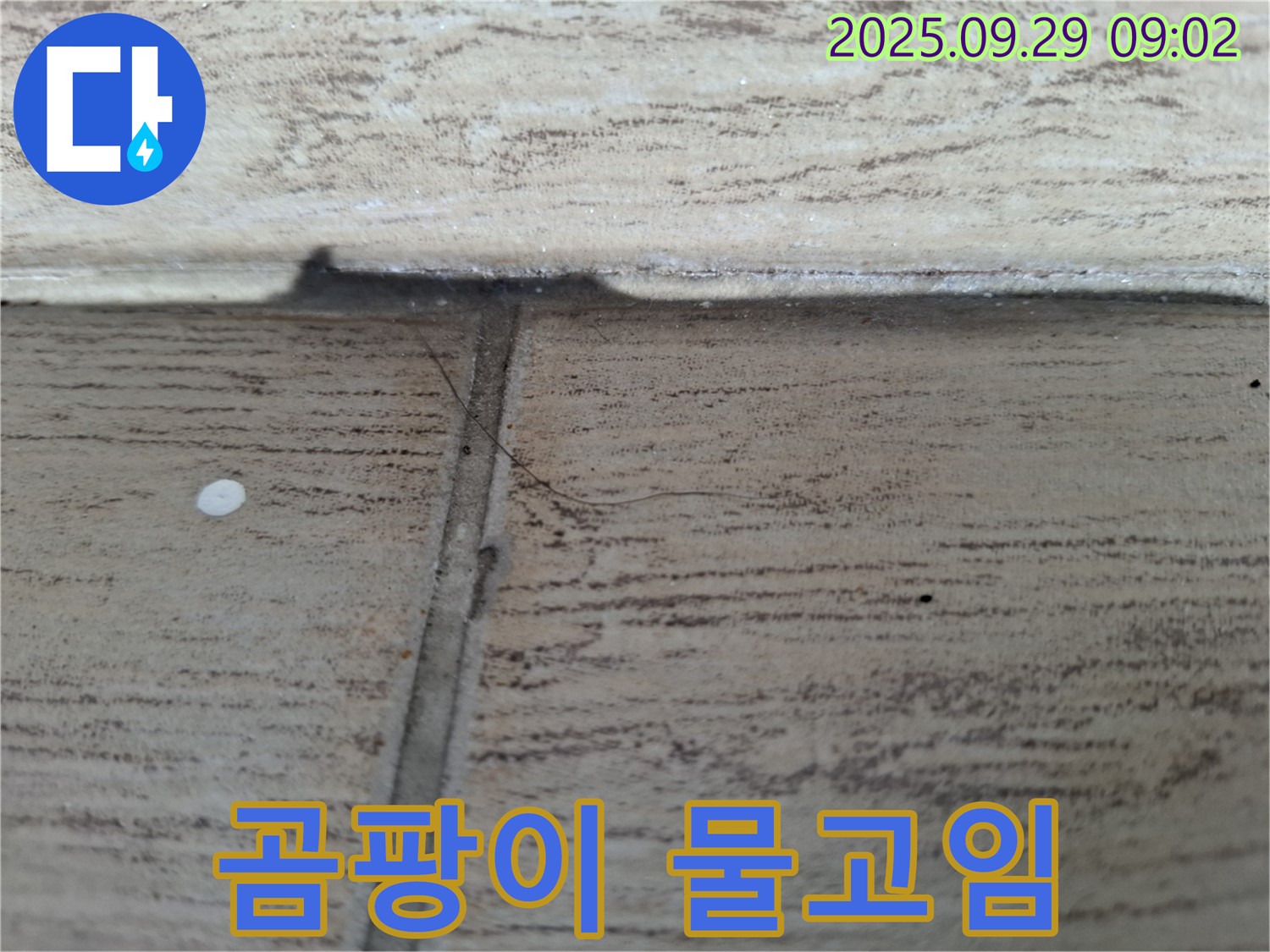 광적면 우고리 누수 - 곰팡이와 물고임, 완벽하게 해결해 드립니다!