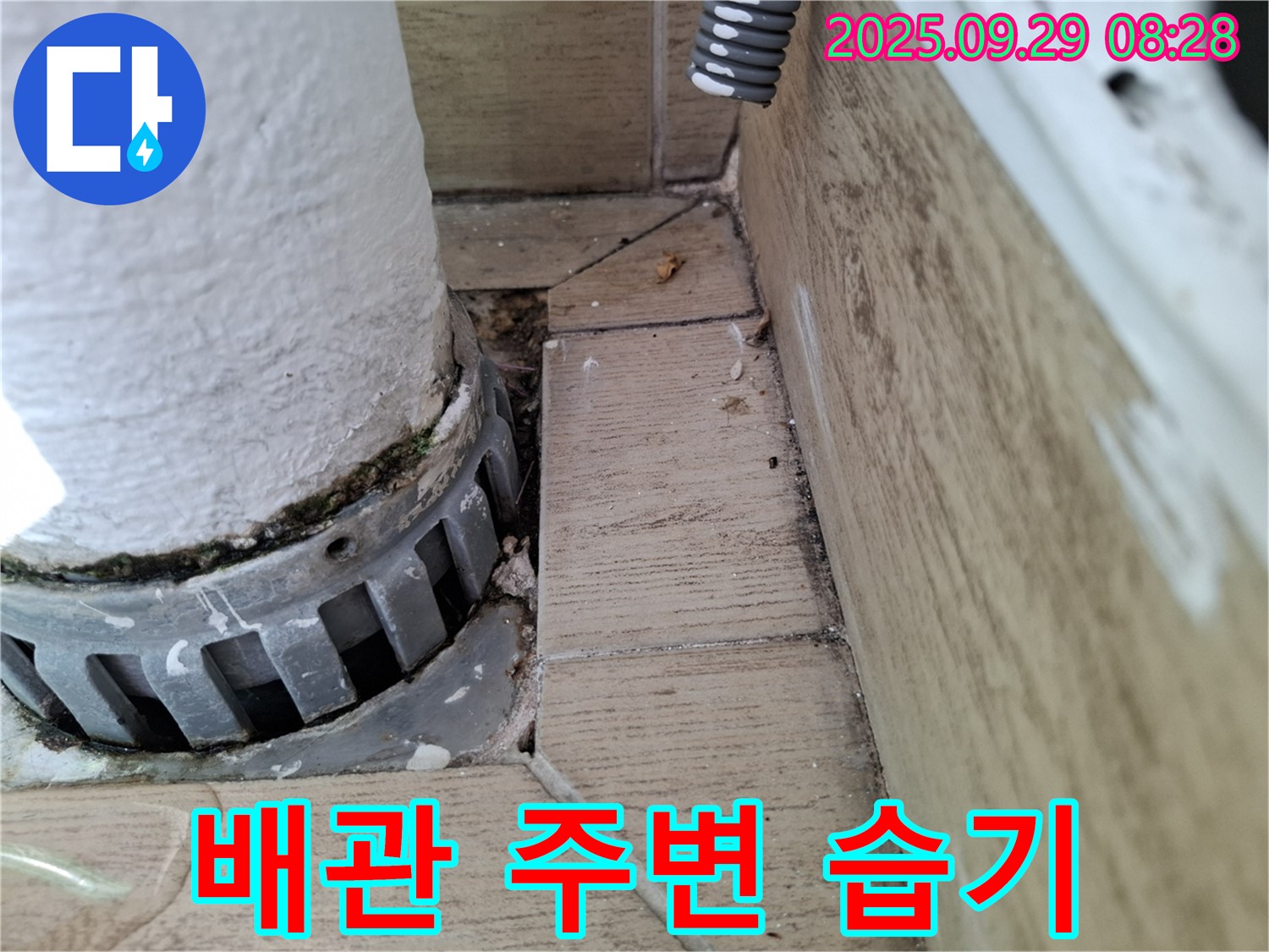 양주시 광적면 우고리 누수 - 배관 연결부 주변 습기 및 곰팡이 발생