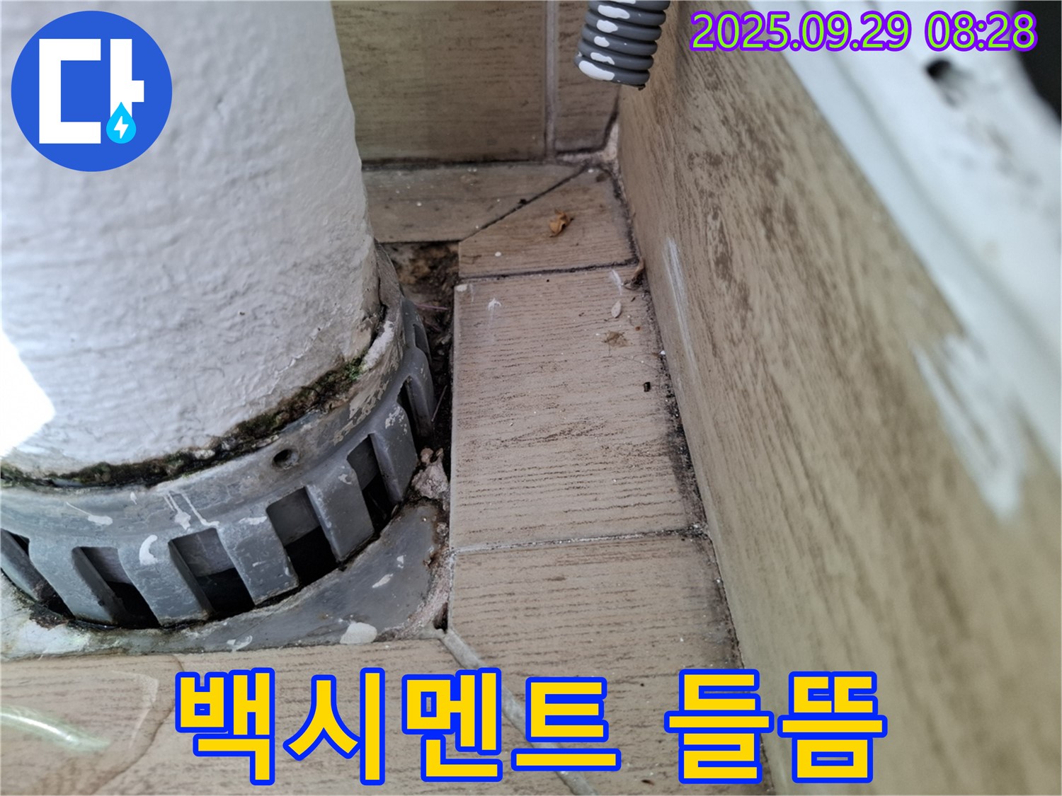 양주시 광적면 우고리 누수 - 배관 주변 백시멘트 들뜸, 누수 가능성 높음