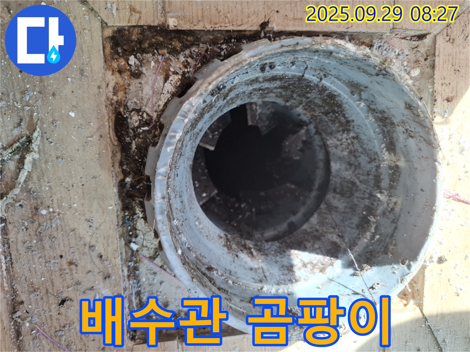 양주시 광적면 우고리 - 배수관 주변 곰팡이 발생 원인 및 청소 작업