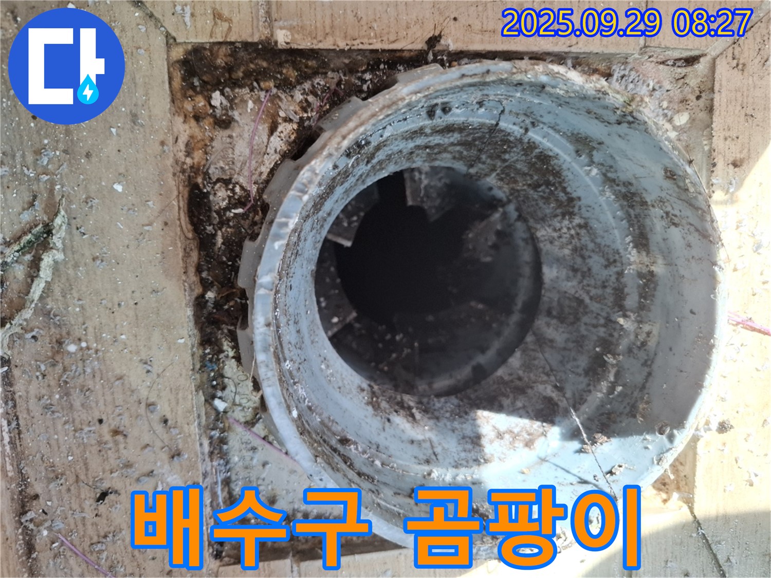 양주시 광적면 우고리 - 배수구 주변 곰팡이 발생, 건강에 해로운 영향