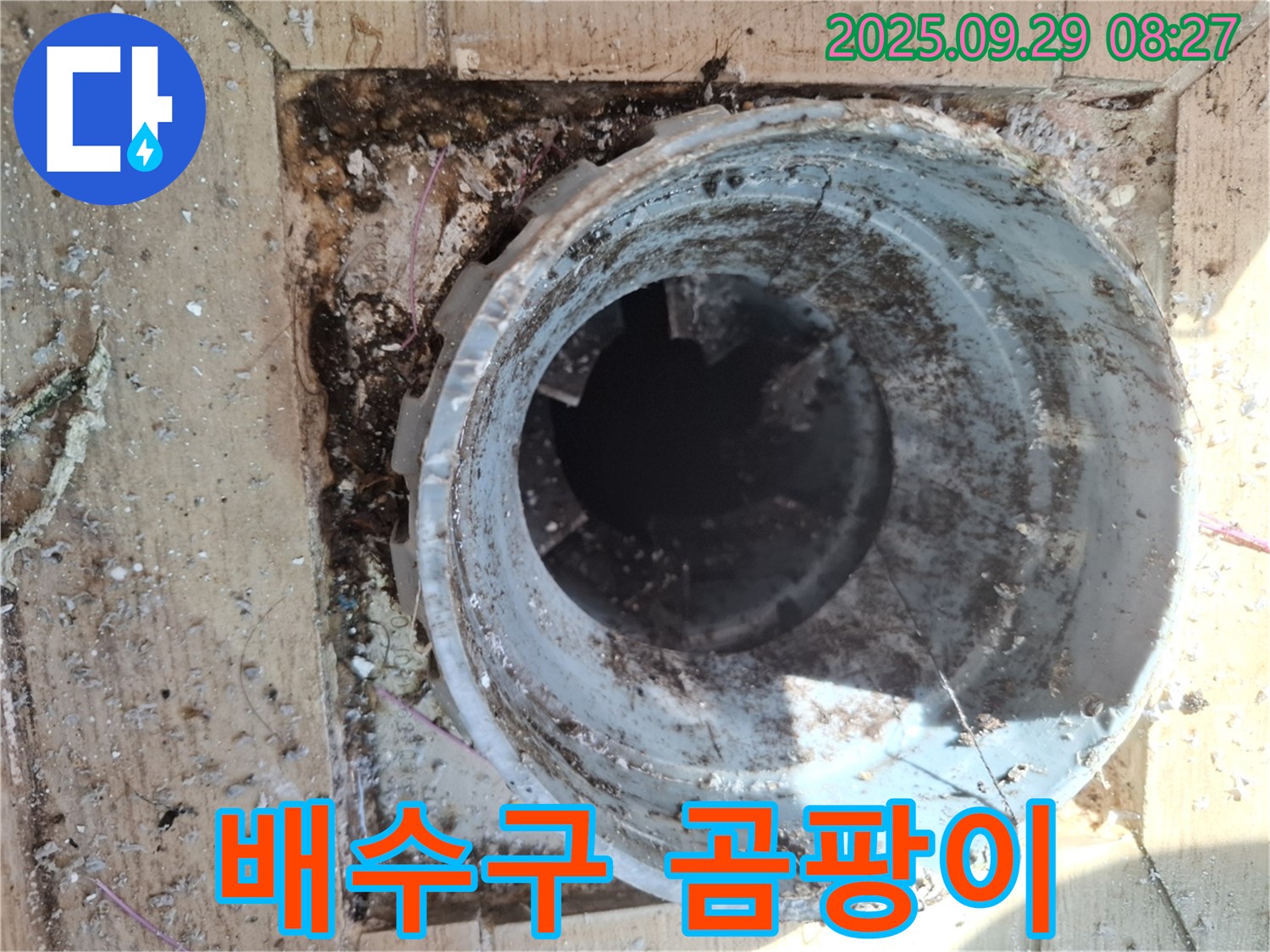 양주시 광적면 우고리 - 배수구 주변 곰팡이 발생 원인 및 청소