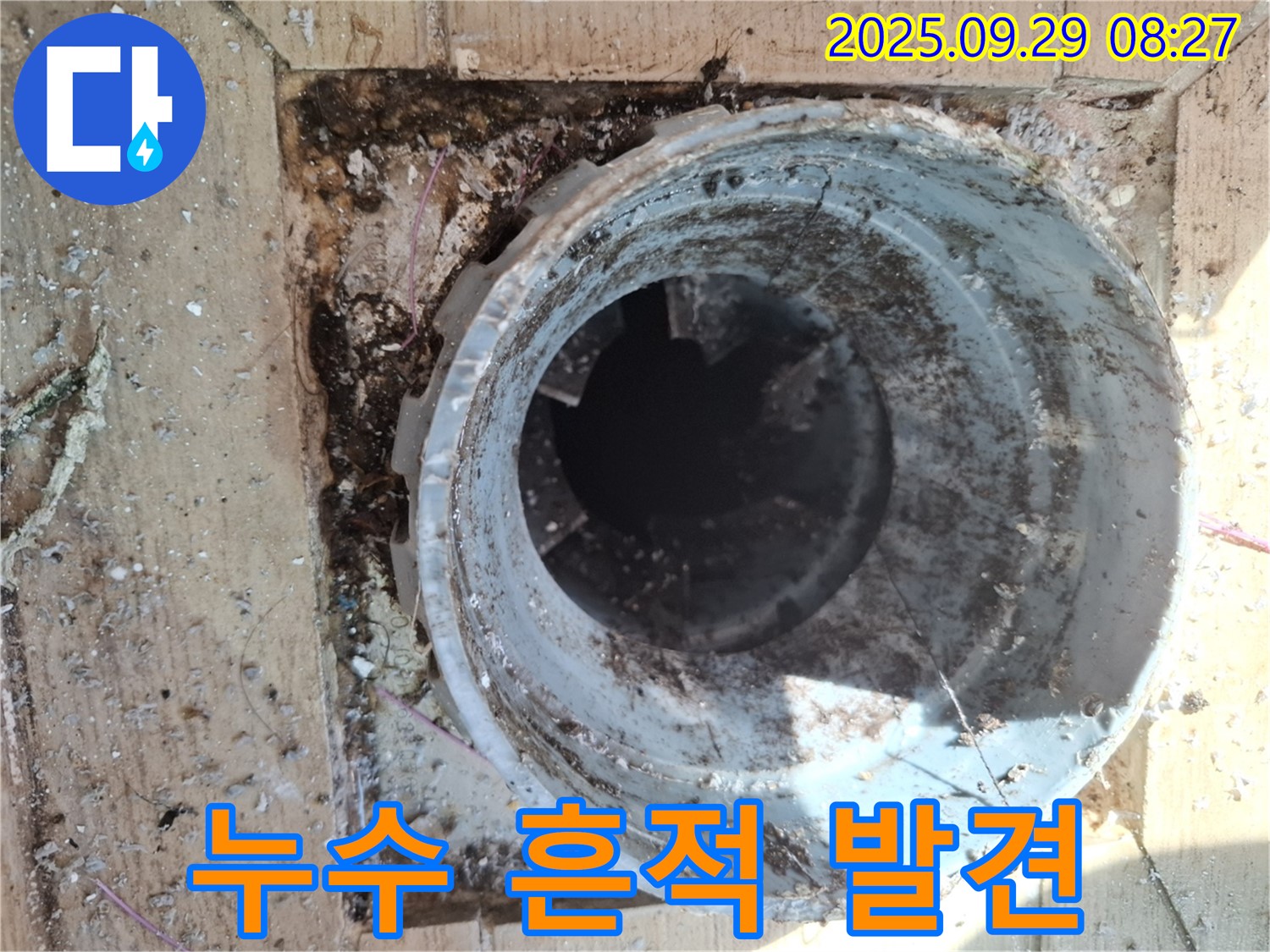 양주시 광적면 우고리 - 배수구 주변 누수 흔적 상세 촬영