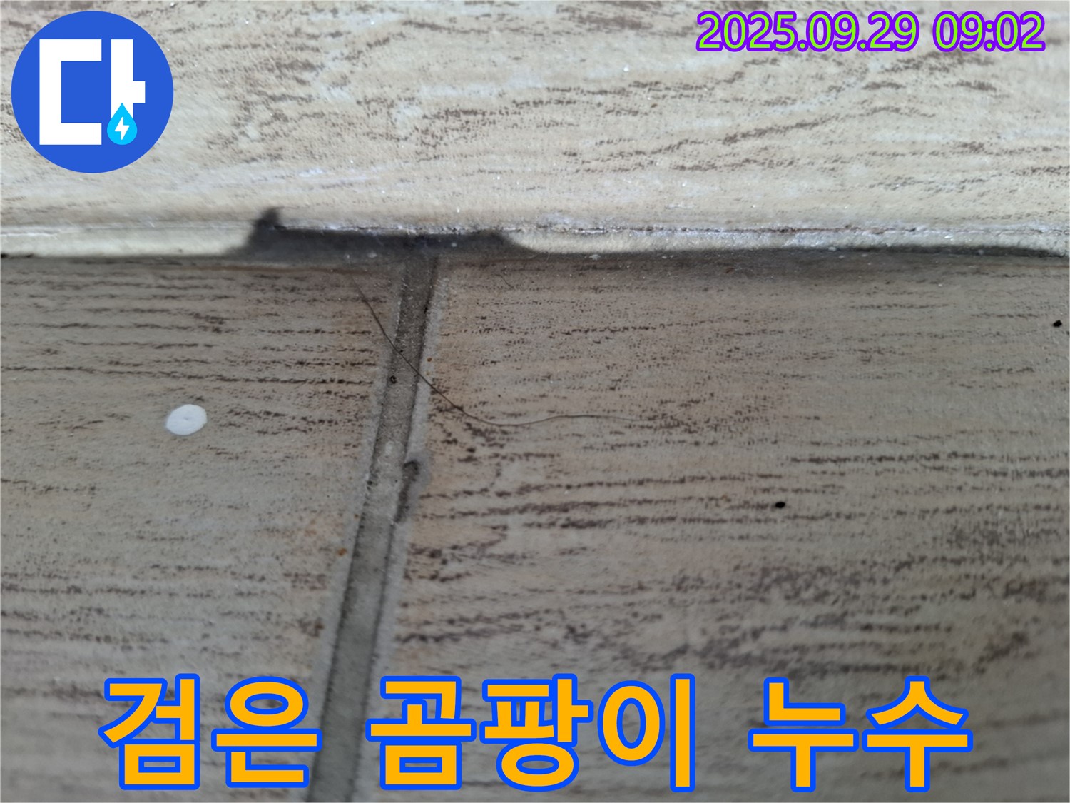 양주시 누수 - 타일 틈새 검은 곰팡이 누수, 곰팡이와 누수를 한 번에!