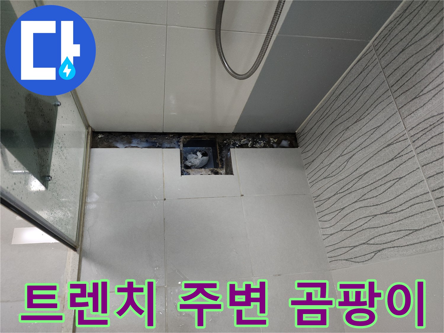 천안 두정동 욕실 트렌치 주변 곰팡이 - 누수 신호일 가능성