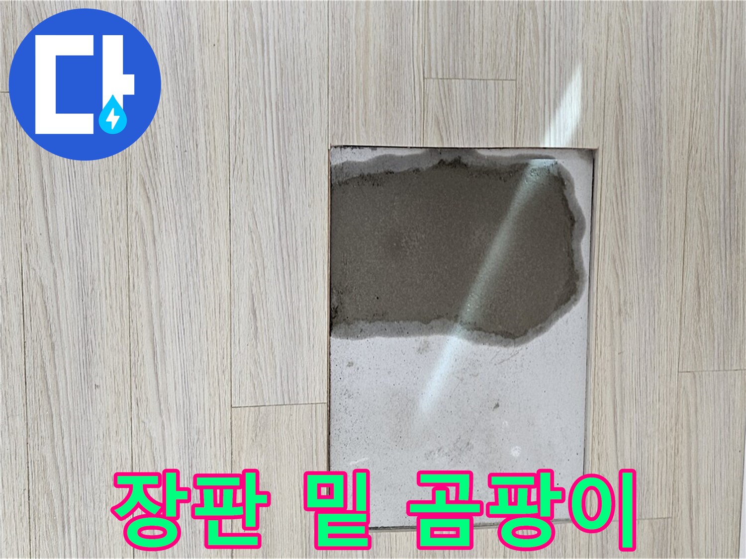 도봉구 도봉동 현대시티 장판 밑 - 곰팡이 주의