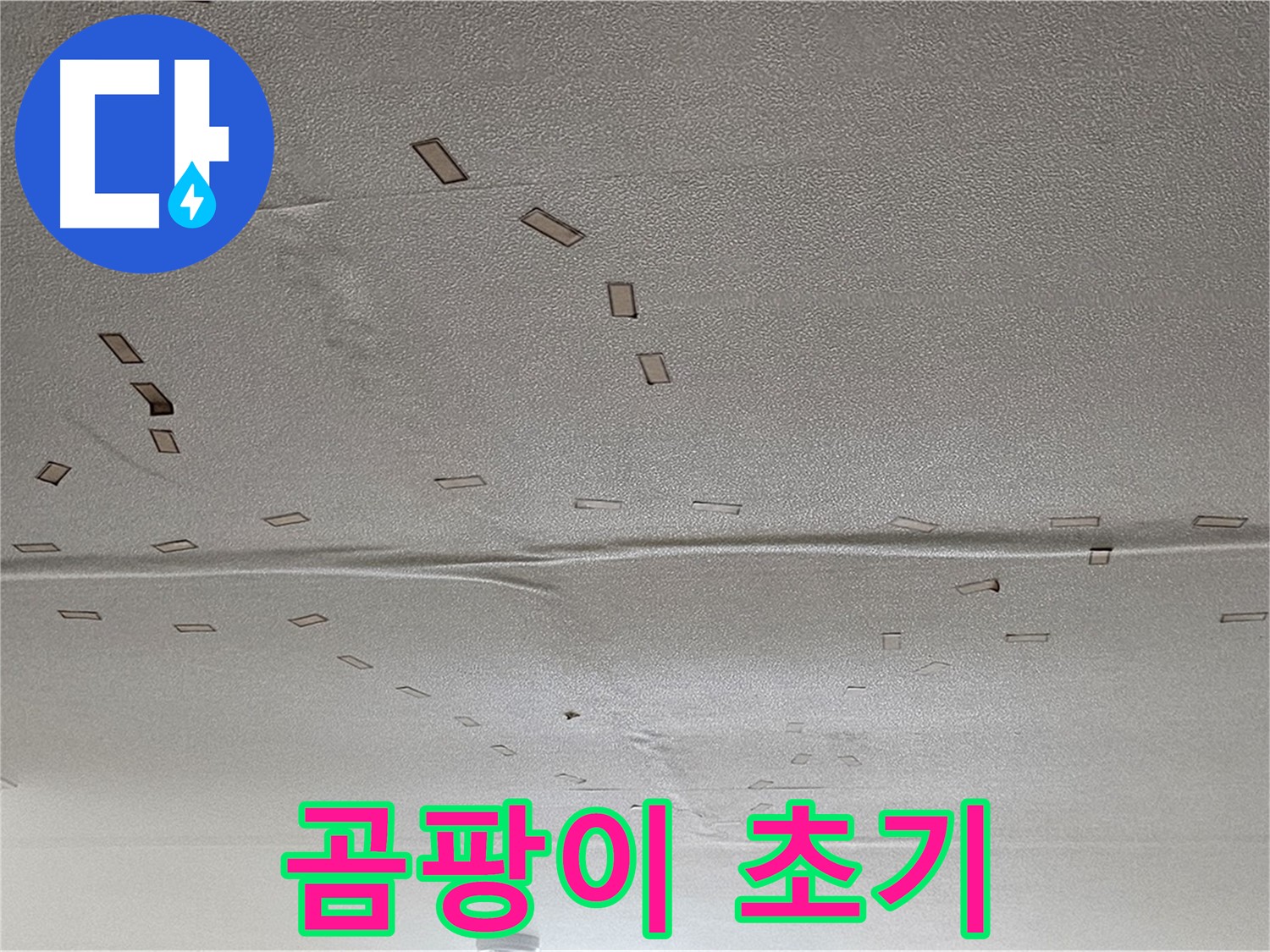 현대시티 아파트 - 천장 곰팡이 발생 초기 - 긴급 누수 해결 및 곰팡이 제거