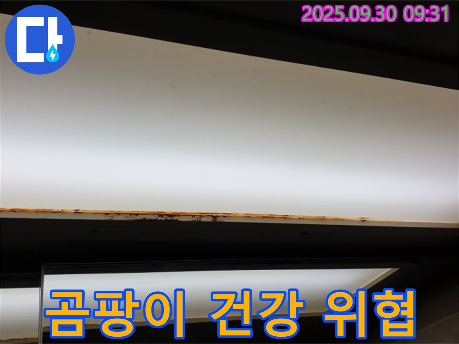 광적면 석우리 누수 - 형광등 누수! 곰팡이 발생! 건강 위협