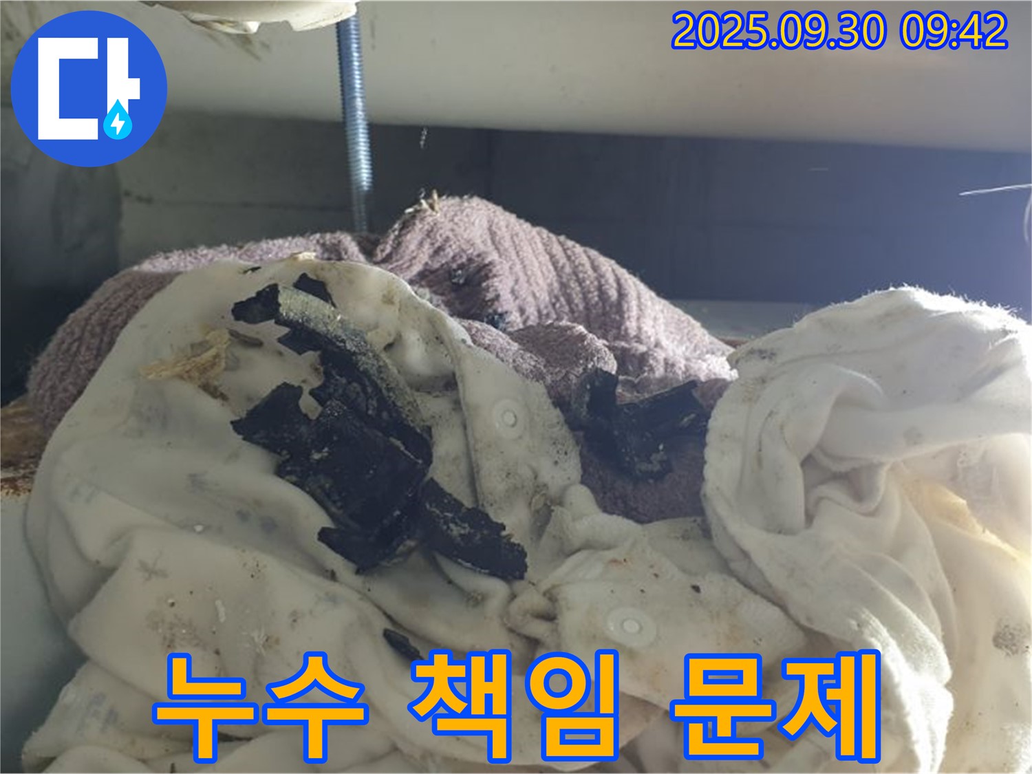아랫집 천장 곰팡이 꽃 - 누수 책임 문제 발생 - 석우리 누수
