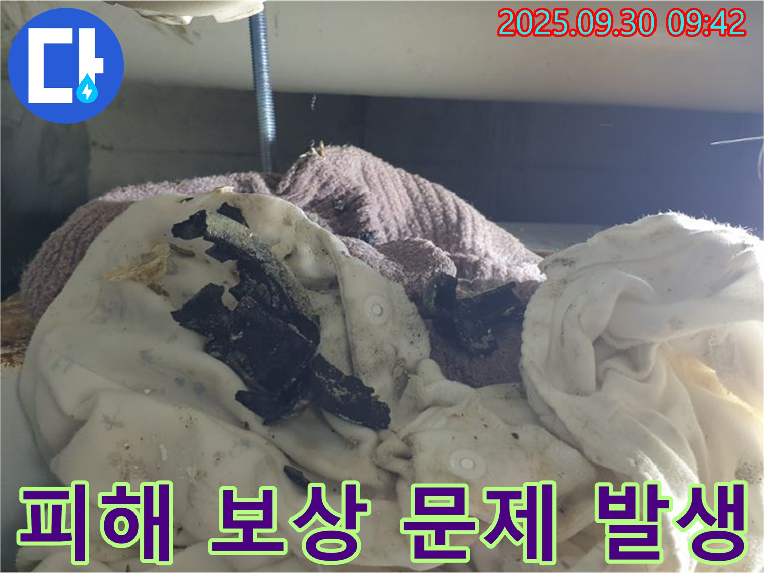 아랫집 천장 곰팡이 - 누수 피해 심각 - 석우리 누수