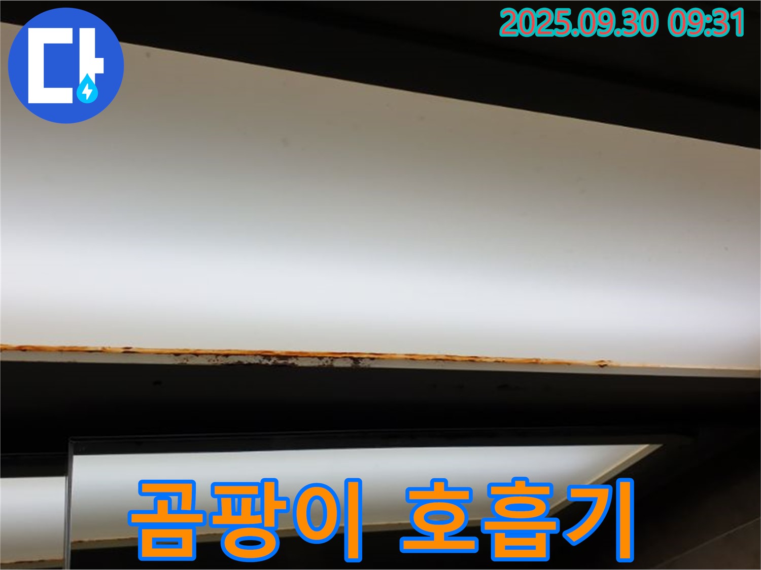 양주 광적면 석우리 누수 - 형광등 곰팡이! 호흡기 질환 유발