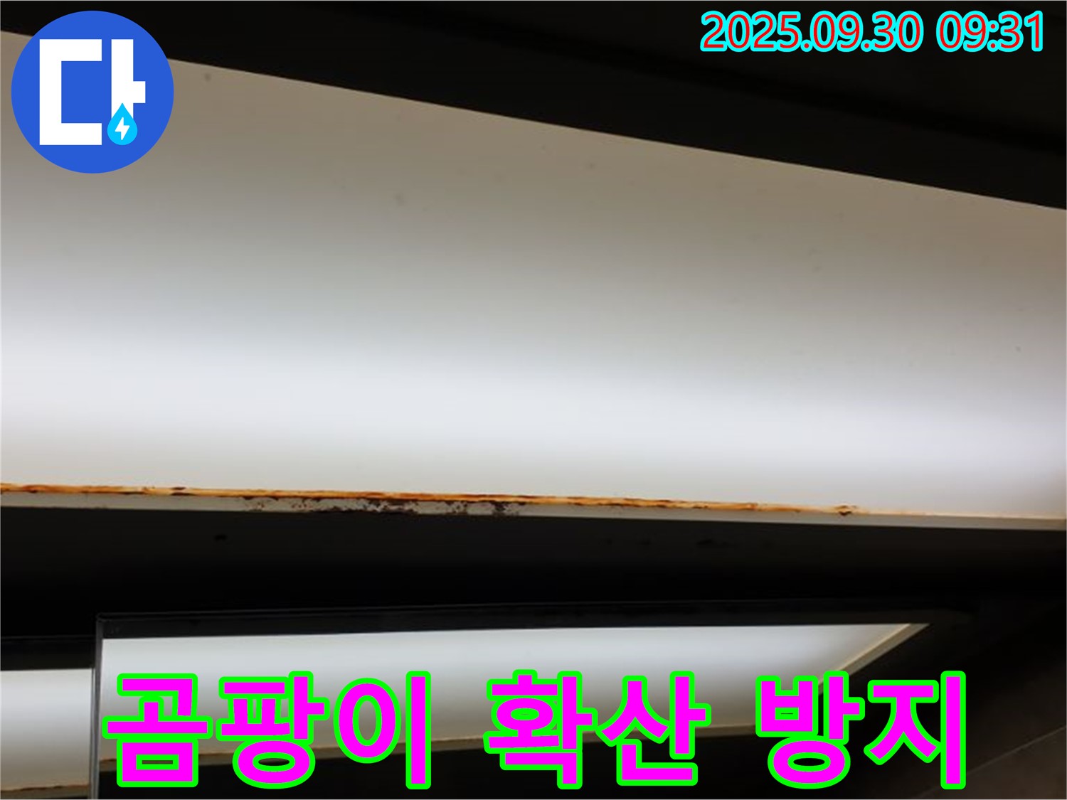 양주 광적면 석우리 누수 - 형광등 누수! 곰팡이 확산 막기