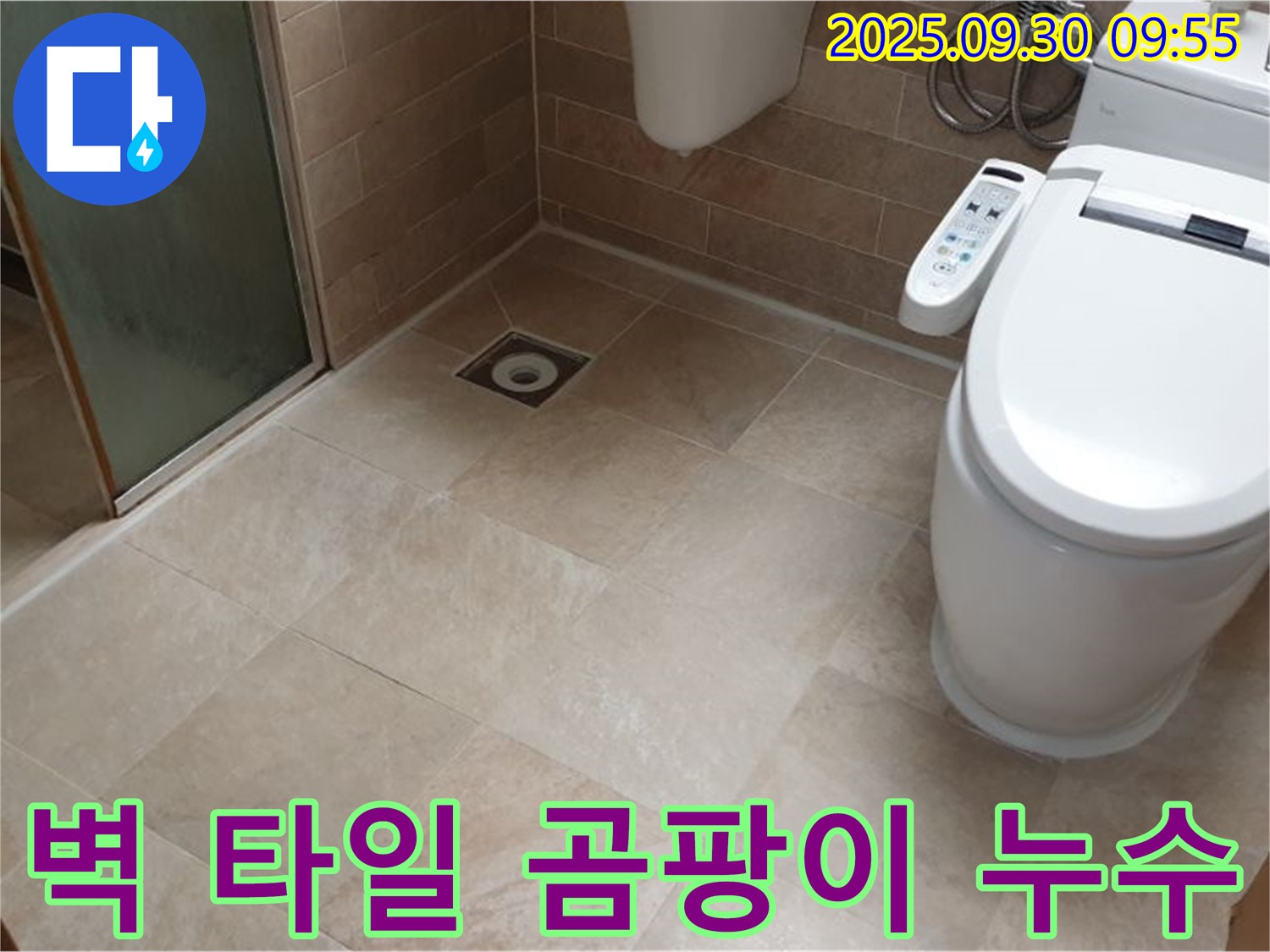 욕실 벽 타일 틈새 곰팡이 및 누수 - 실리콘 재시공 및 철저한 방수 처리!