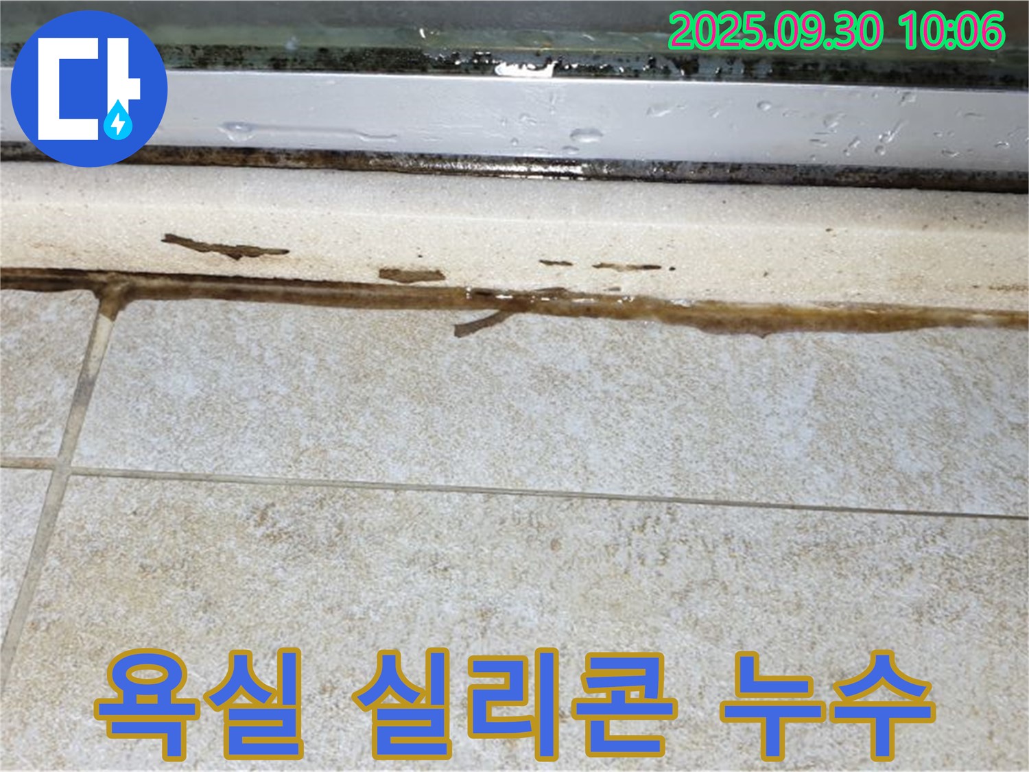 욕실 실리콘 손상 - 곰팡이와 누수의 주범