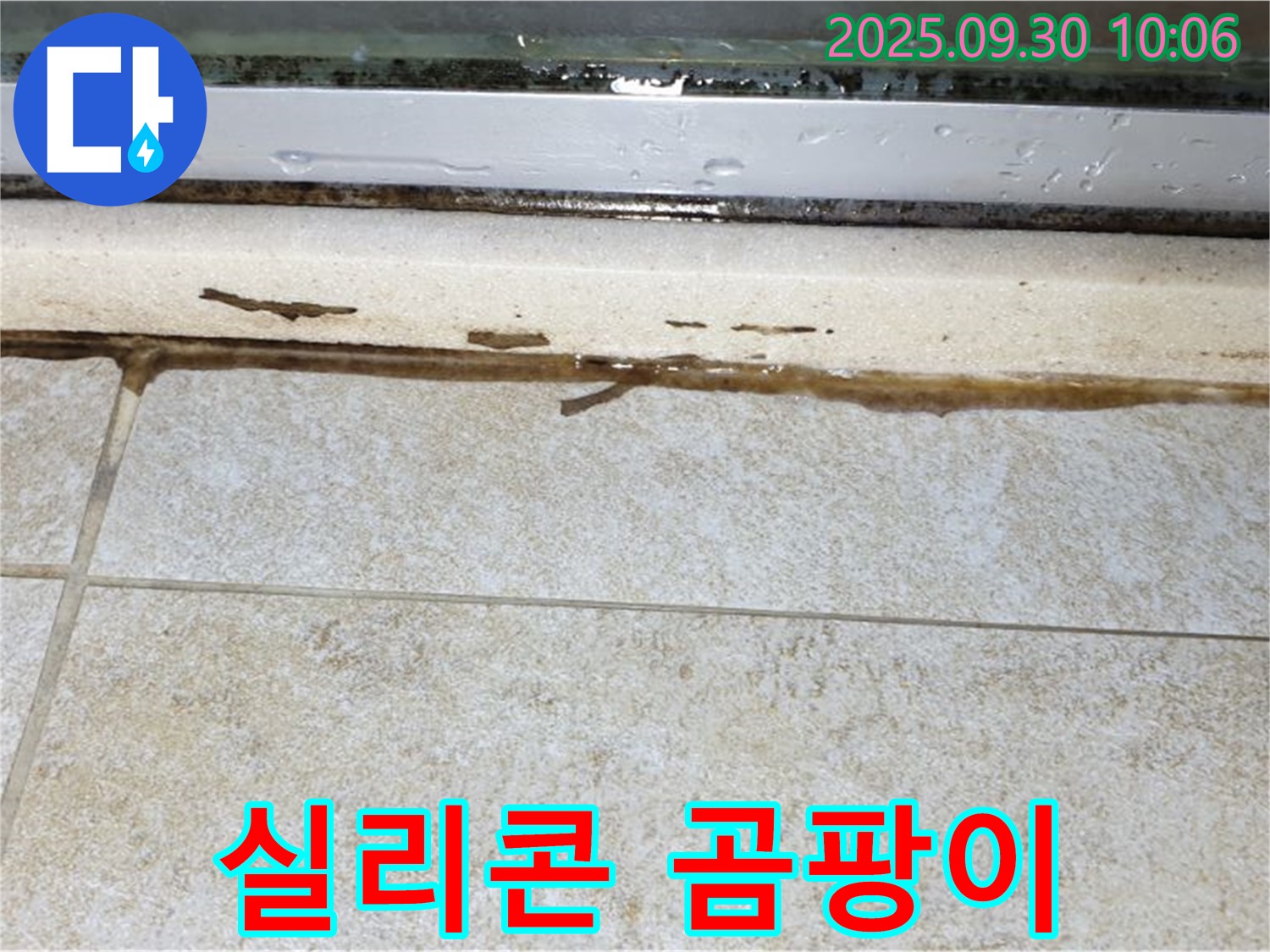 창틀 실리콘 곰팡이 - 빗물 침투의 증거, 건강을 위협합니다