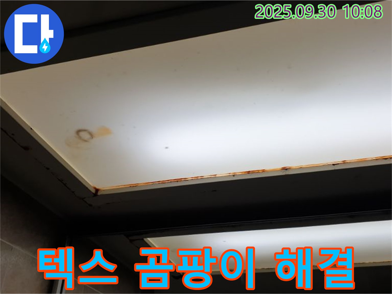 텍스 곰팡이 - 양주 석우리에서 누수탐지 전문가가 텍스 곰팡이를 확인하고 건강 위협을 알리며 빠른 누수 해결을 권장합니다.